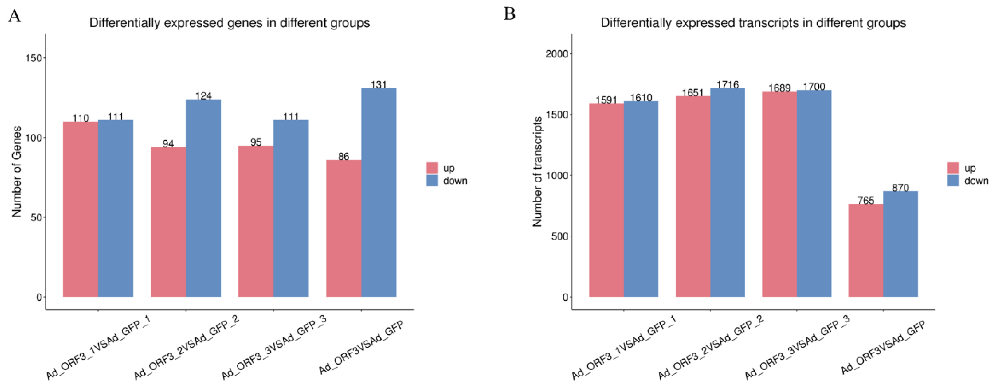 Microorganisms 13 00412 g004