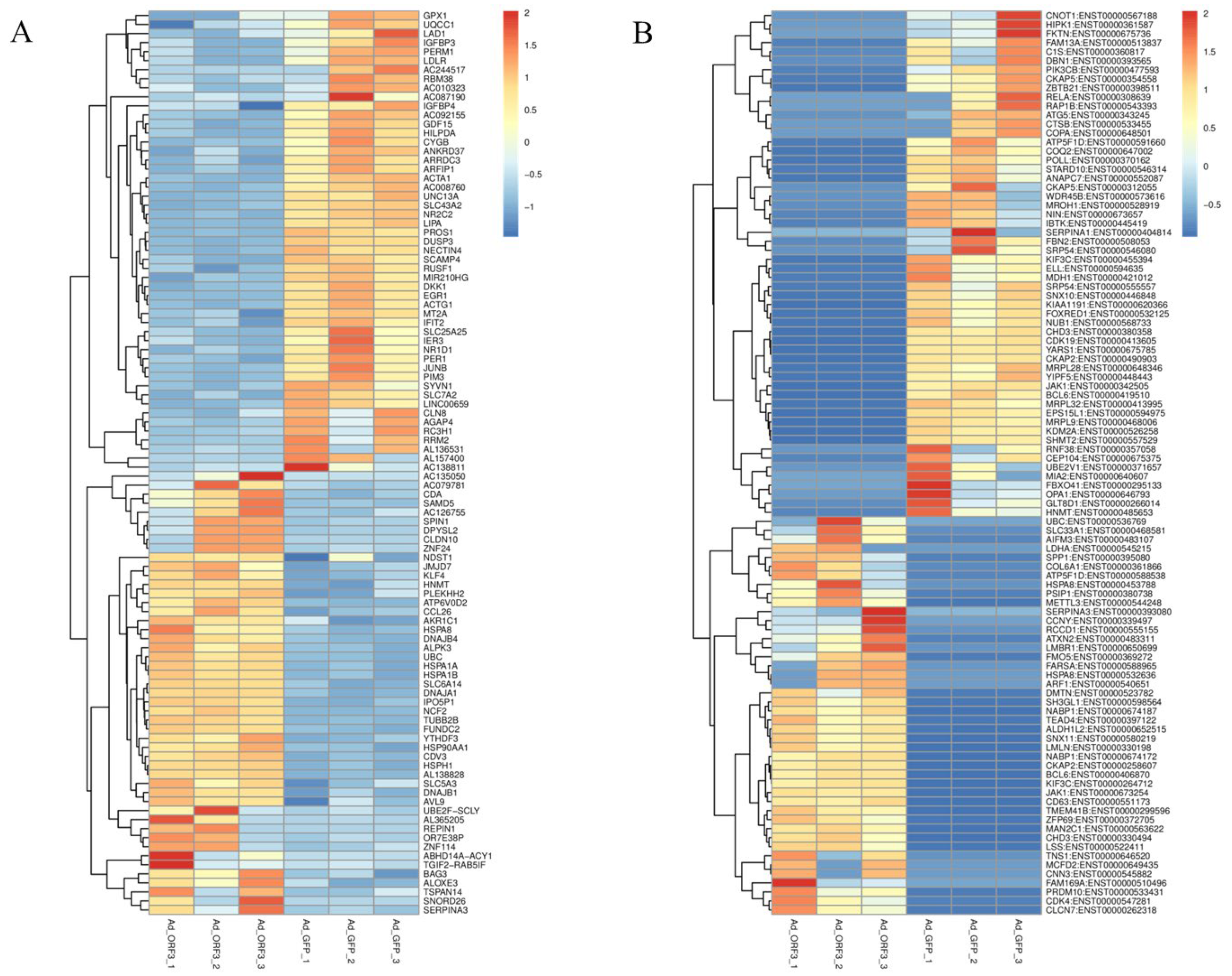 Microorganisms 13 00412 g006