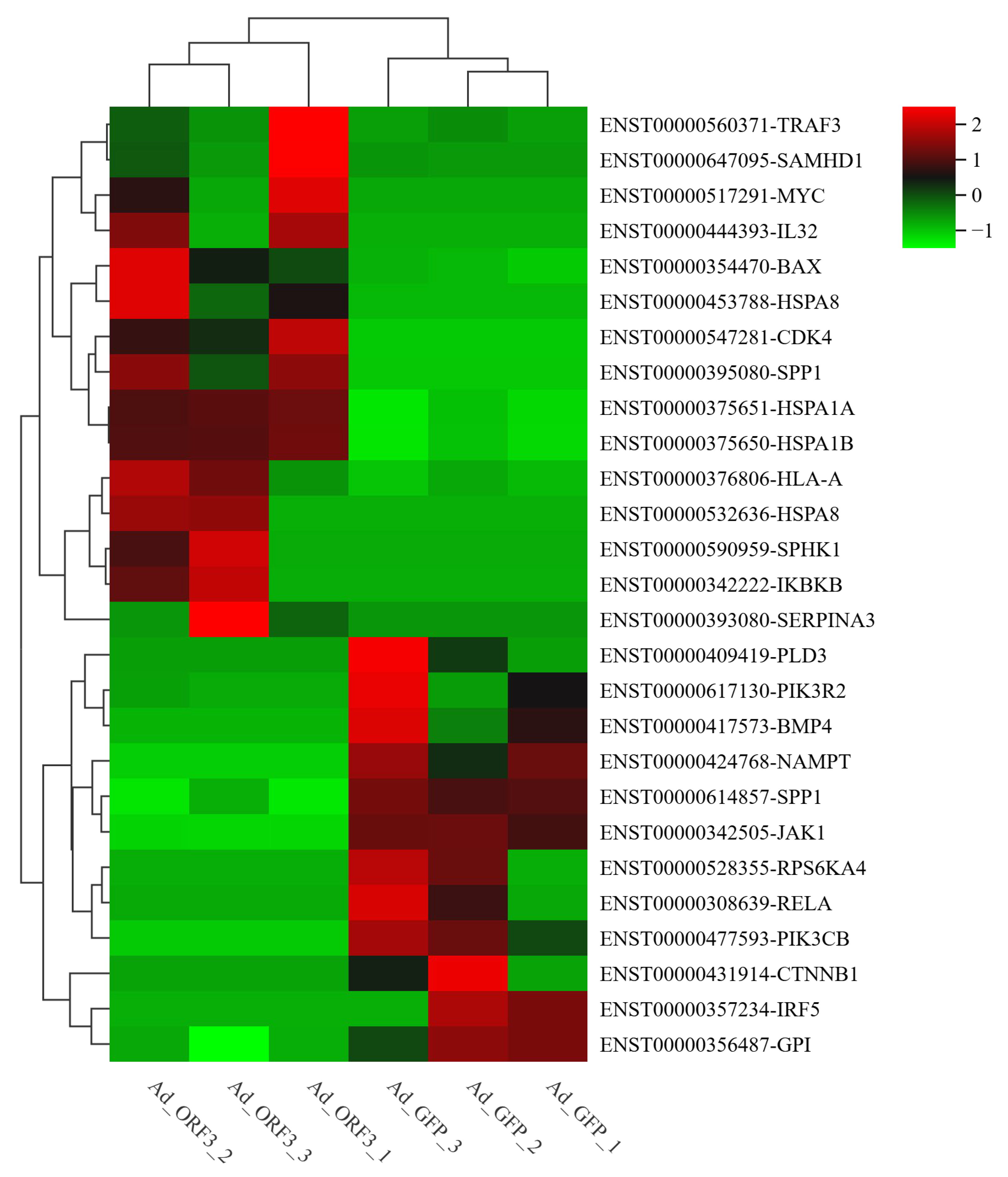 Microorganisms 13 00412 g010