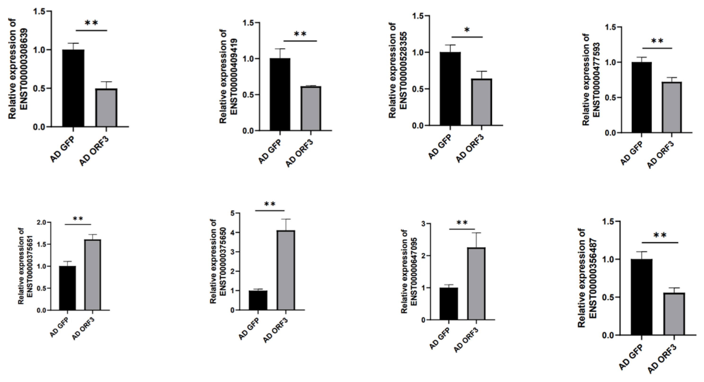 Microorganisms 13 00412 g011