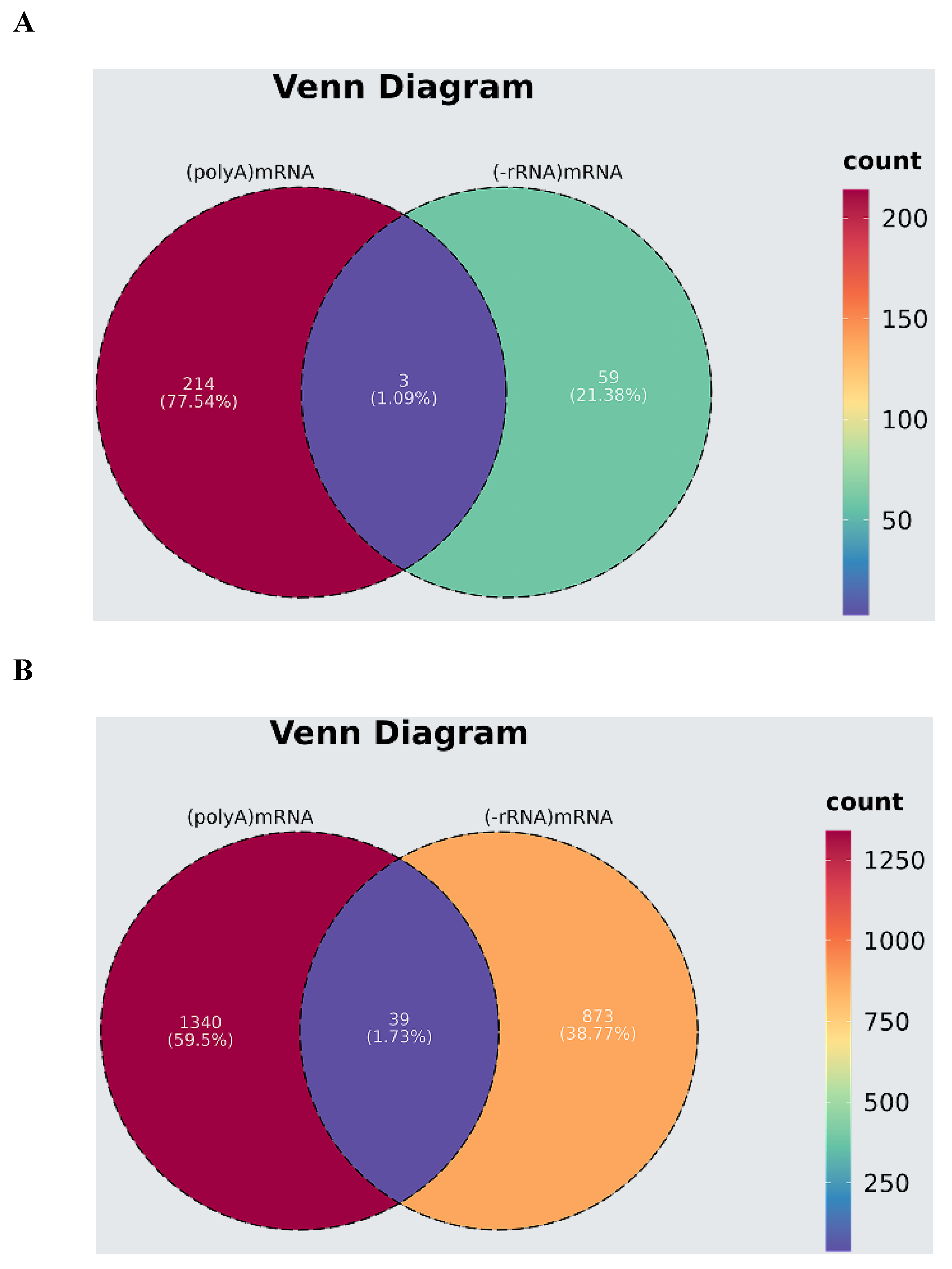Microorganisms 13 00412 g012