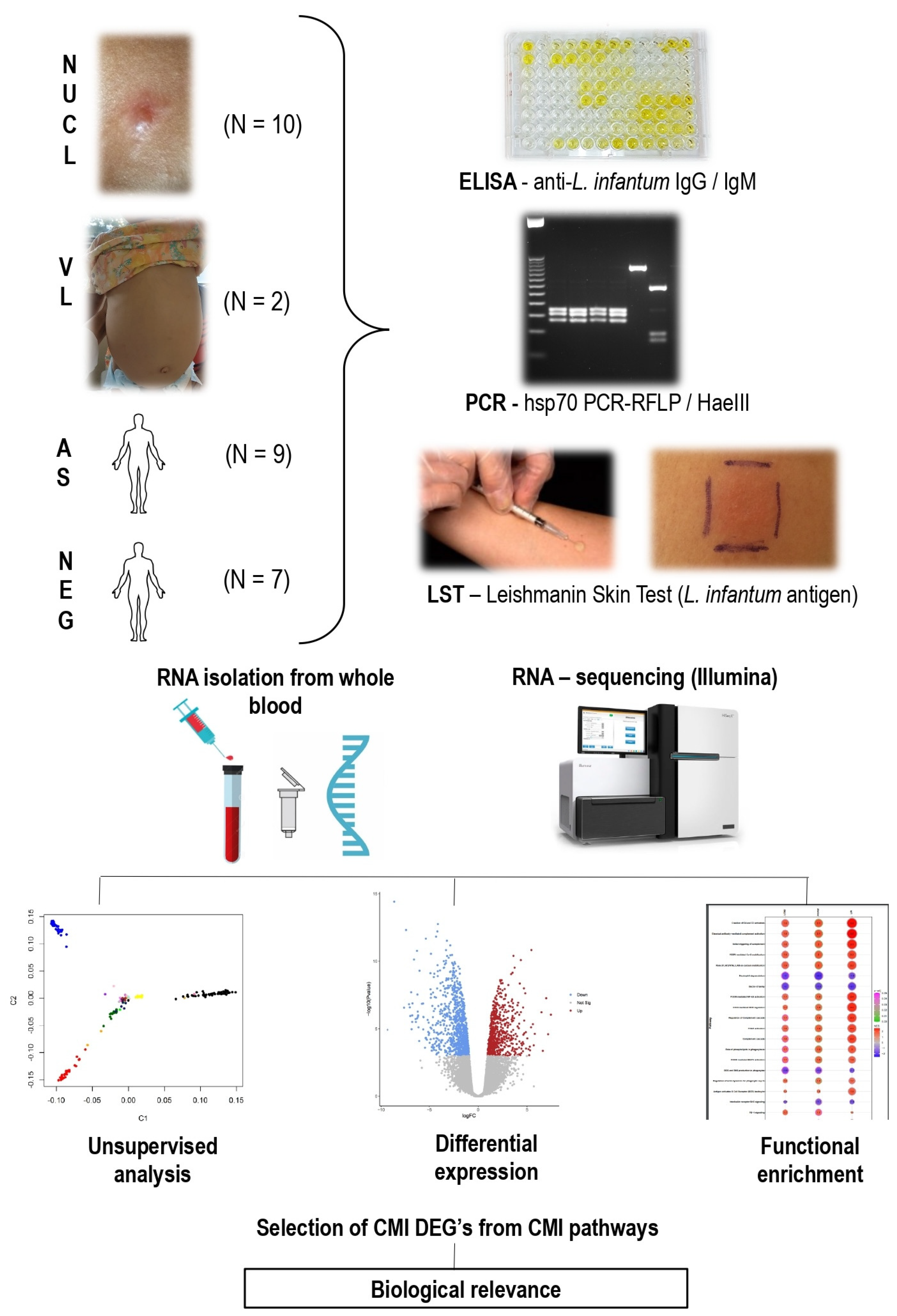 Microorganisms 13 00413 g001