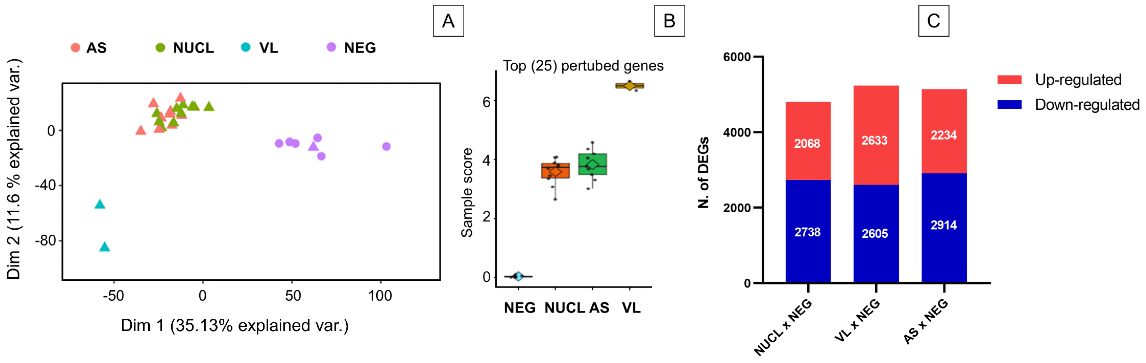Microorganisms 13 00413 g002