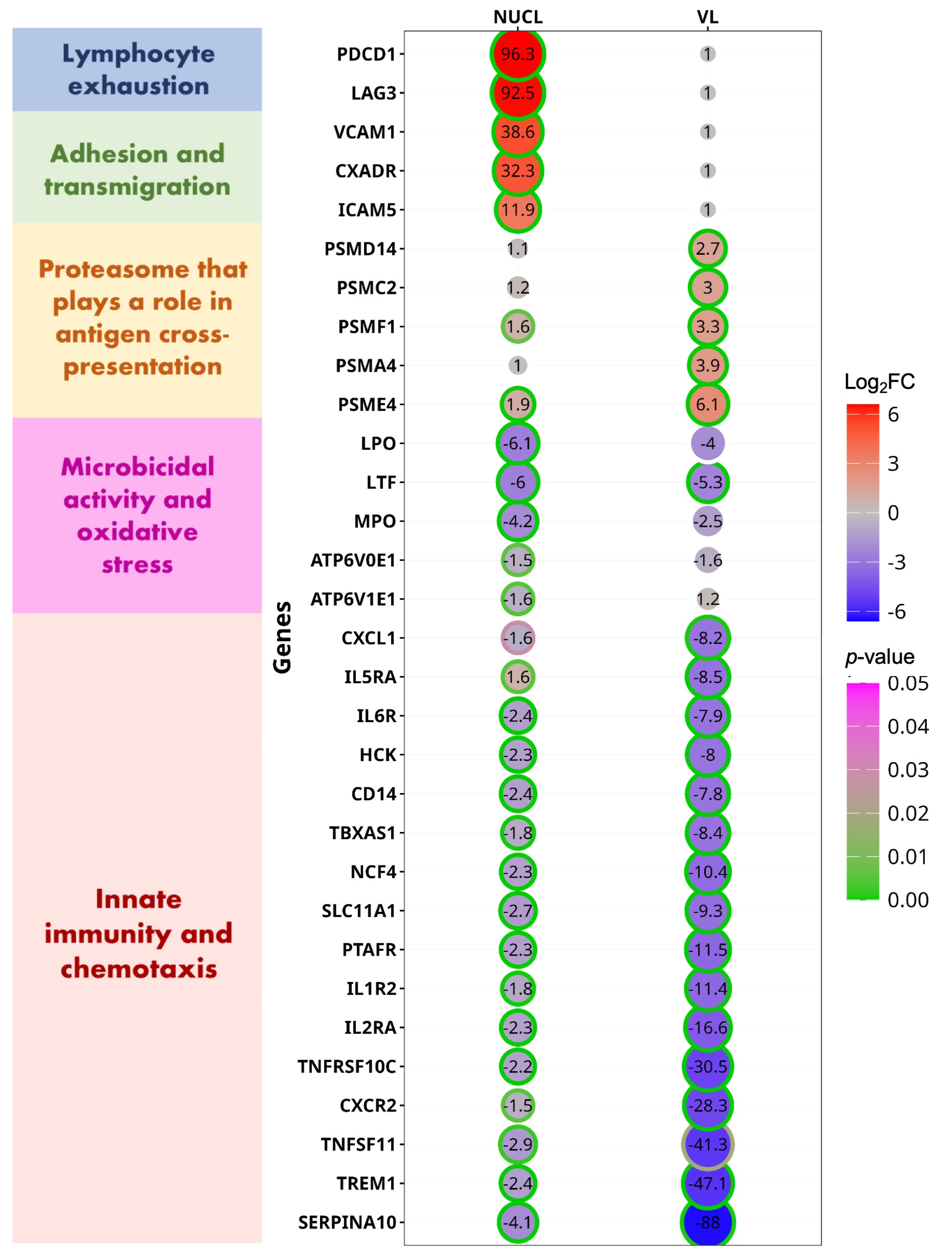 Microorganisms 13 00413 g004