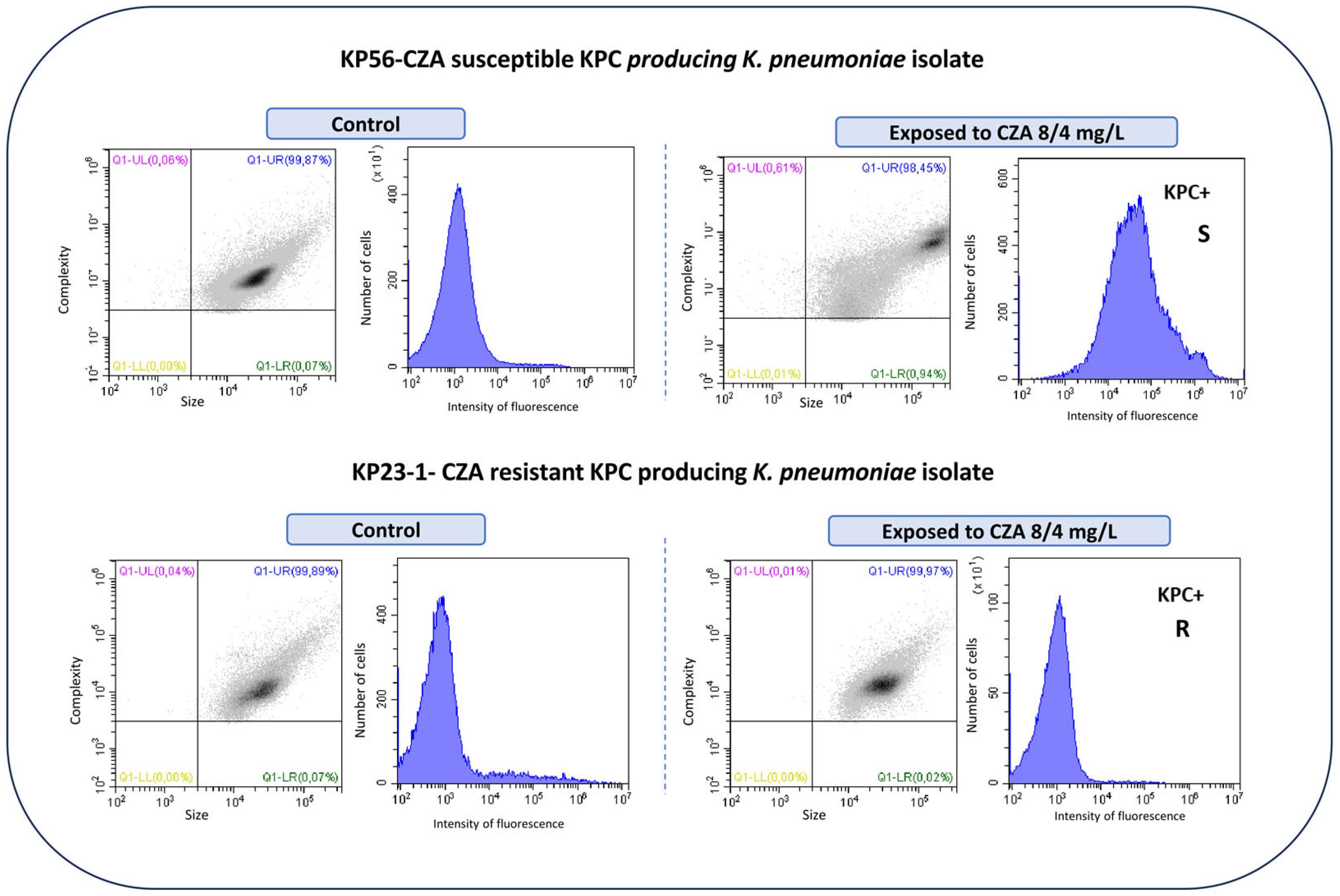 Microorganisms 13 00414 g001