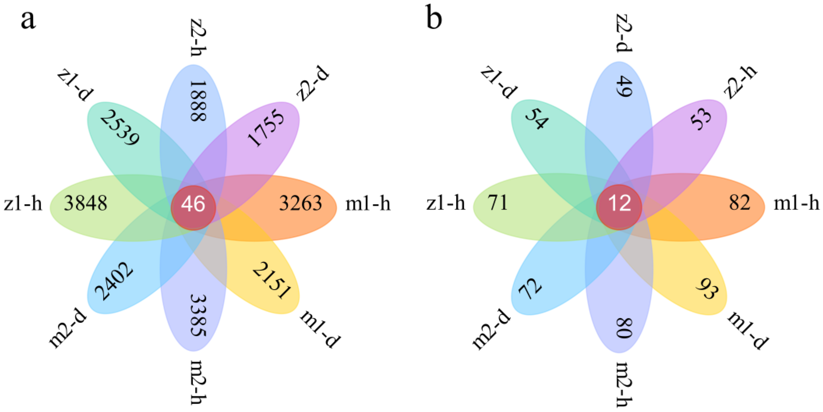 Microorganisms 13 00417 g003