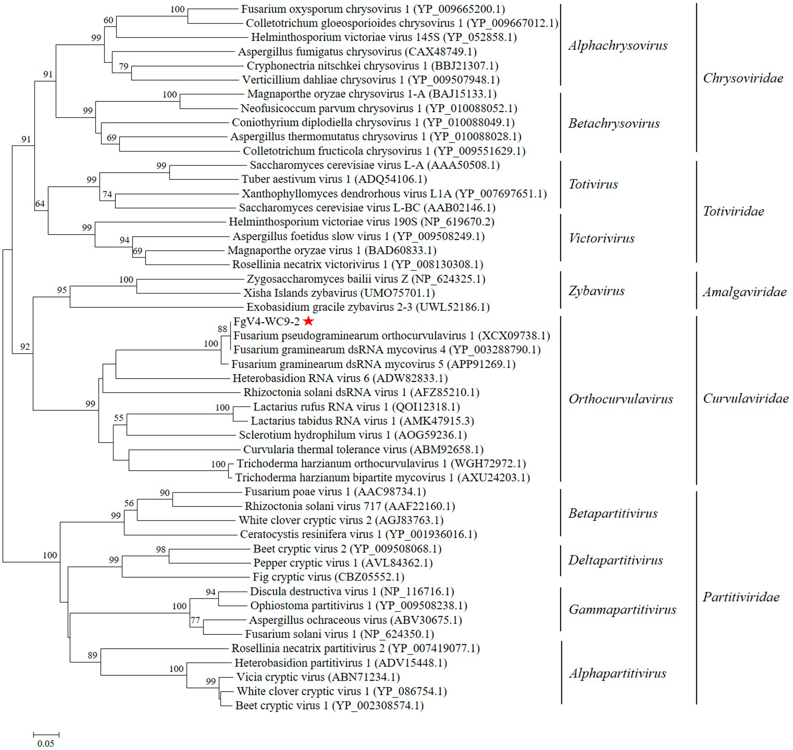 Microorganisms 13 00418 g002
