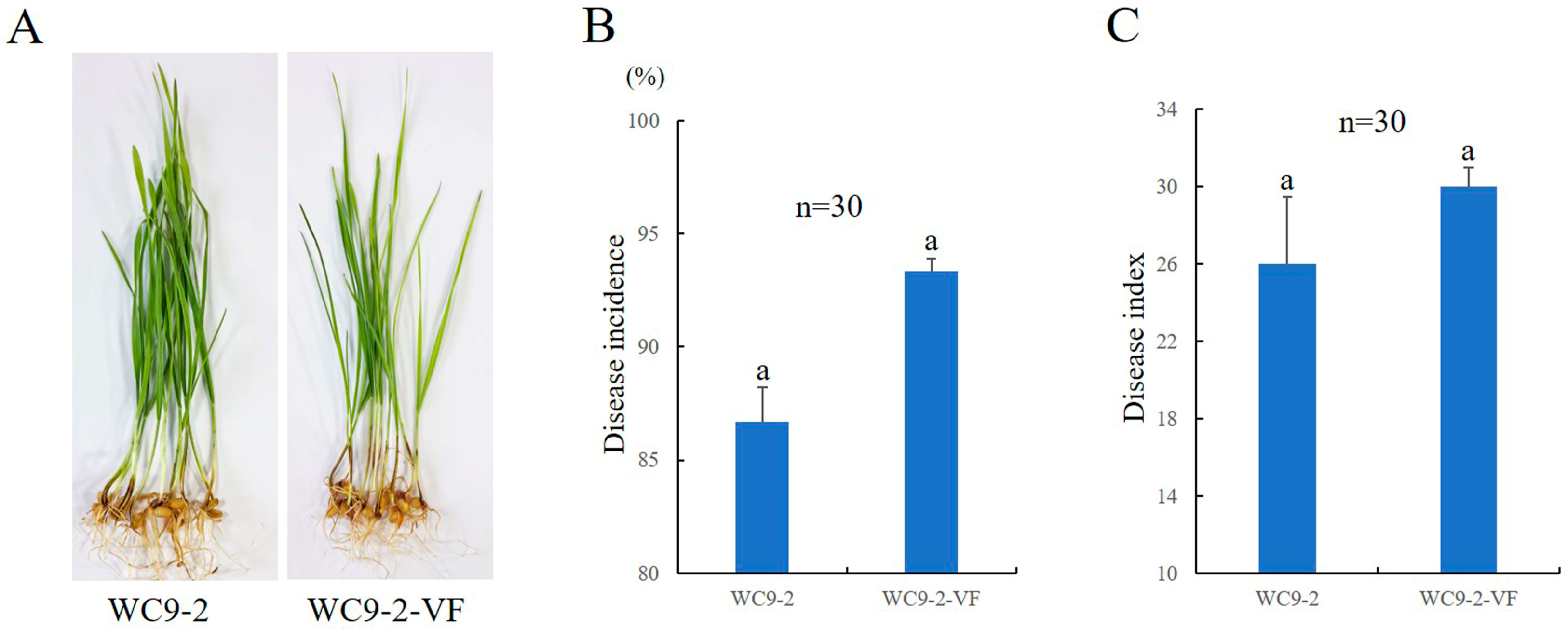 Microorganisms 13 00418 g004