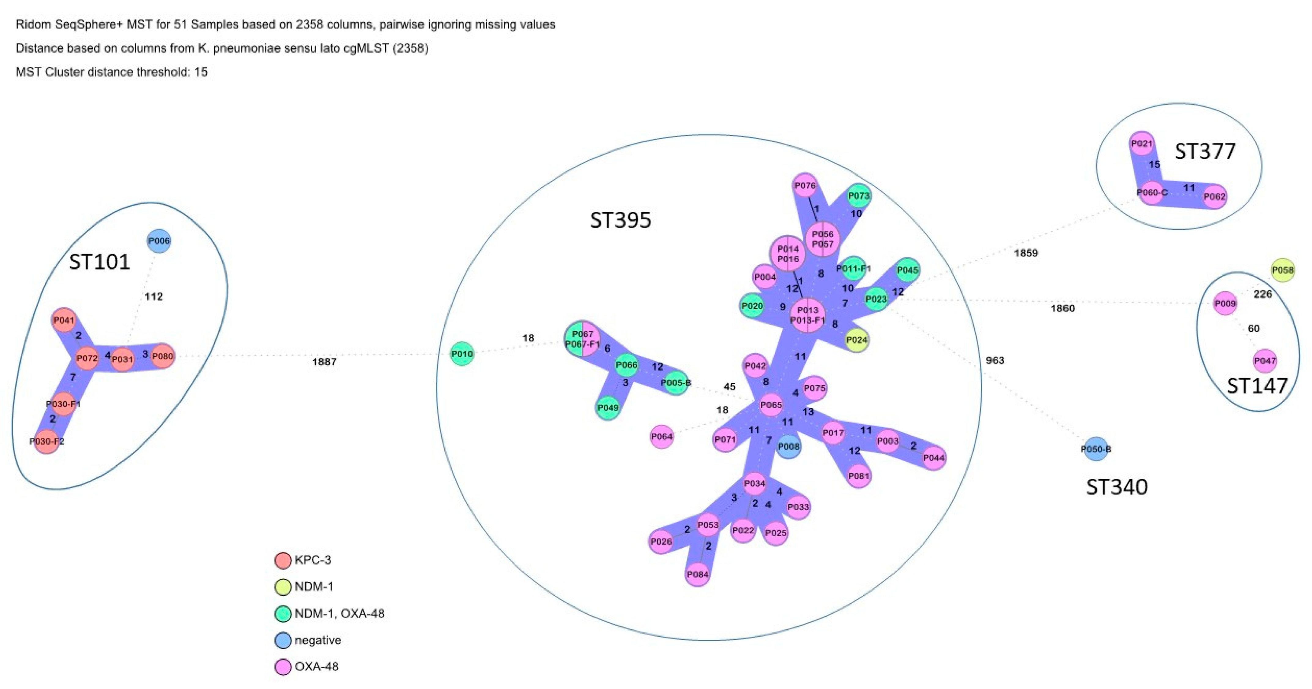 Microorganisms 13 00421 g004