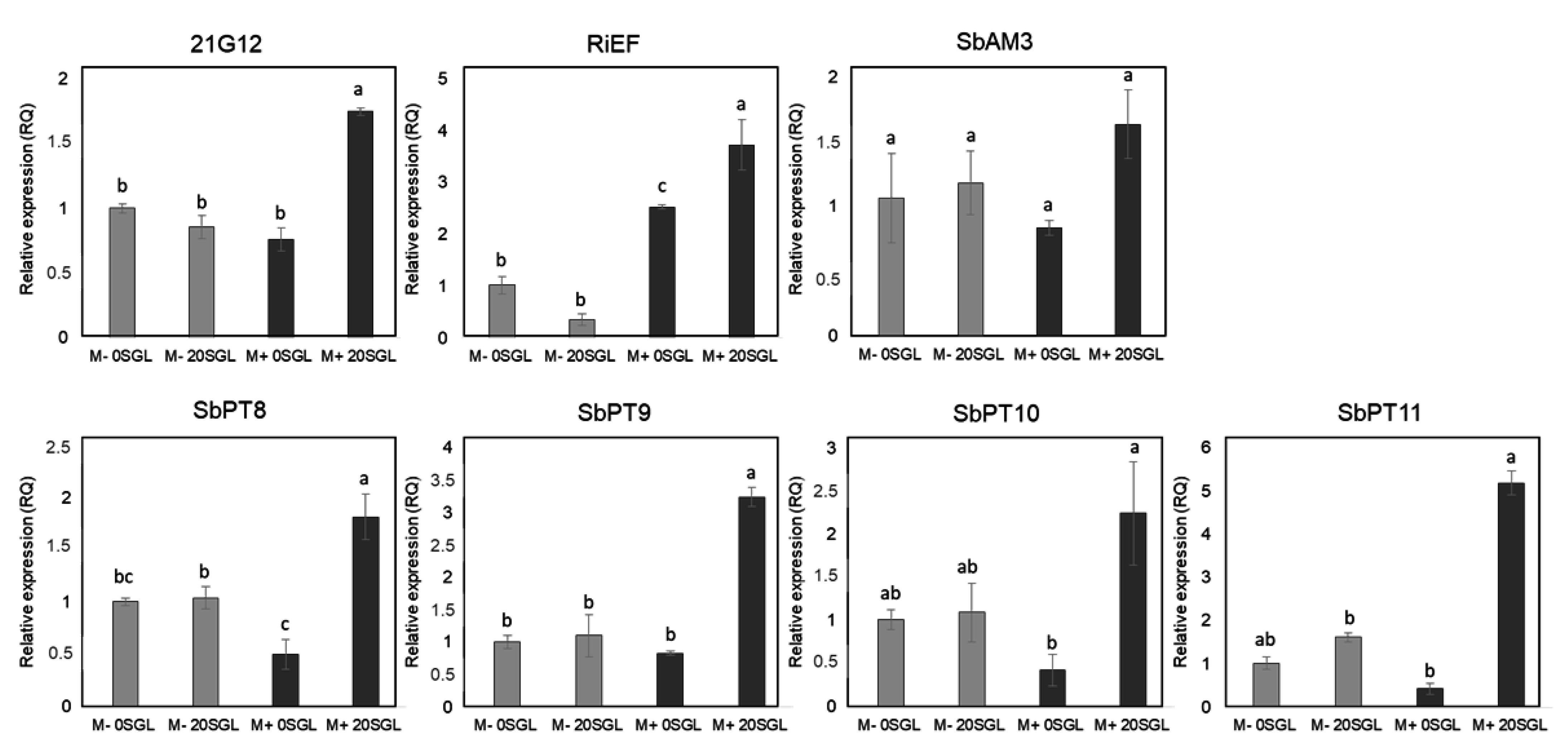 Microorganisms 13 00423 g003