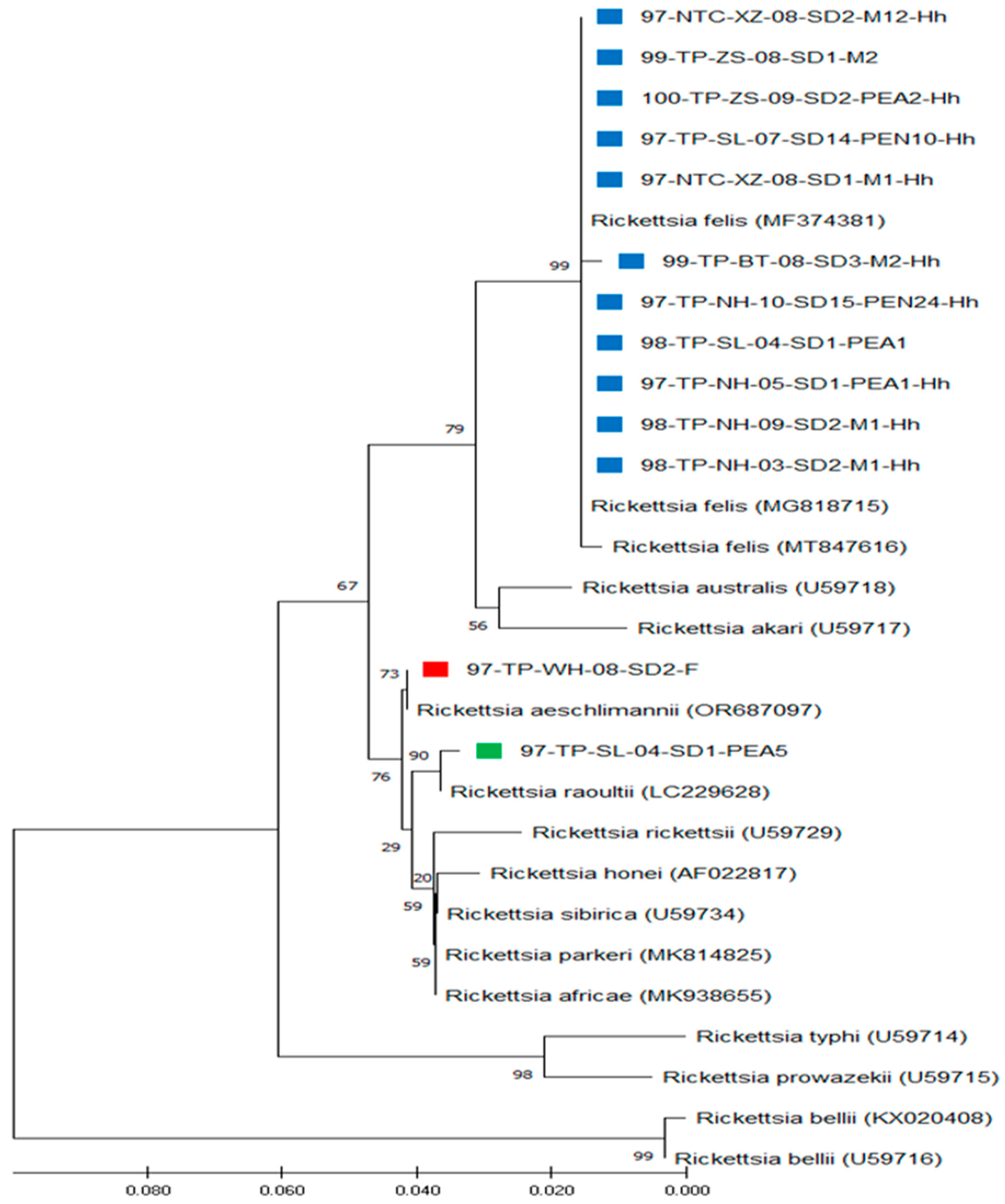 Microorganisms 13 00424 g003