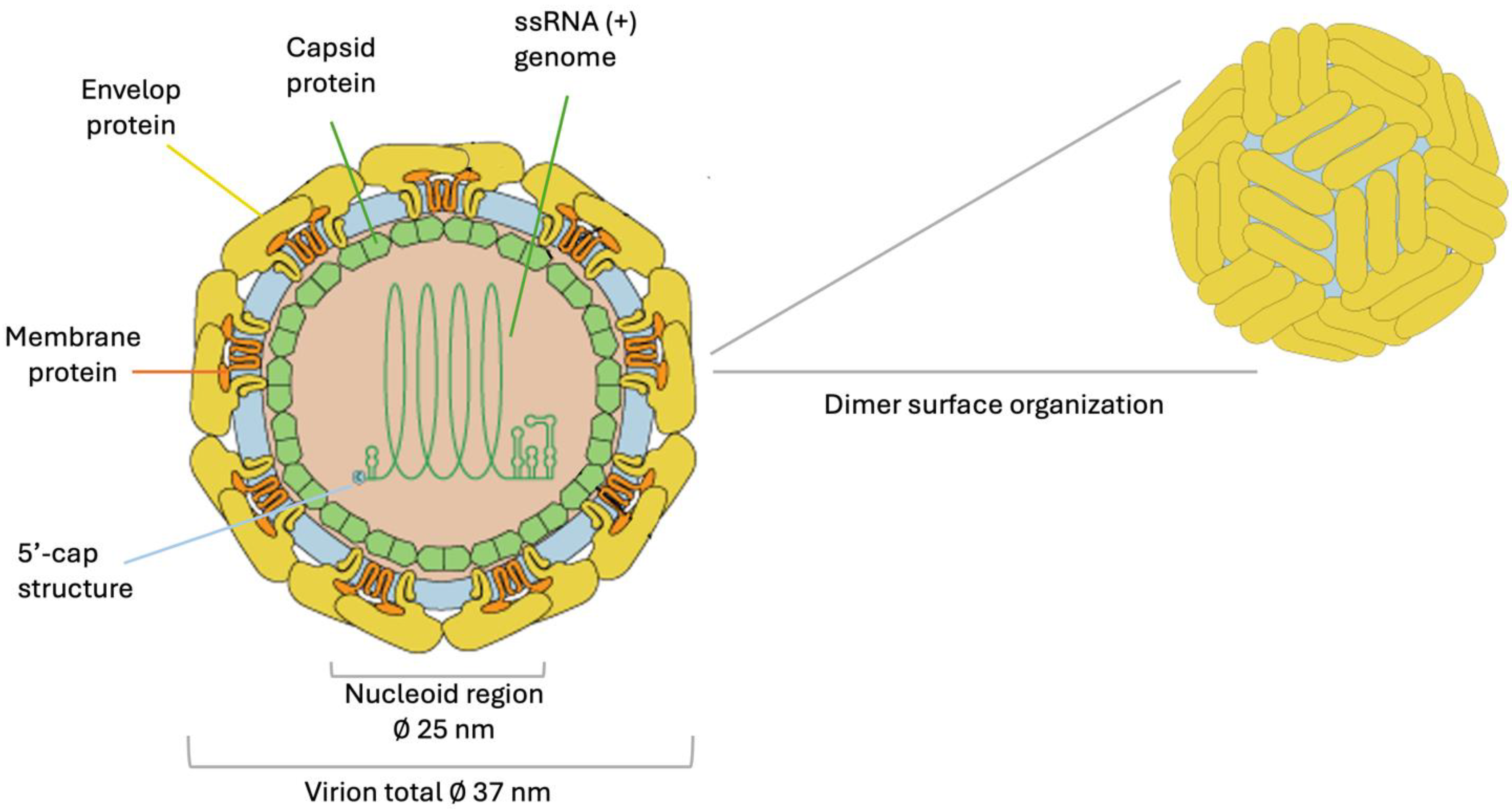 Microorganisms 13 00426 g001