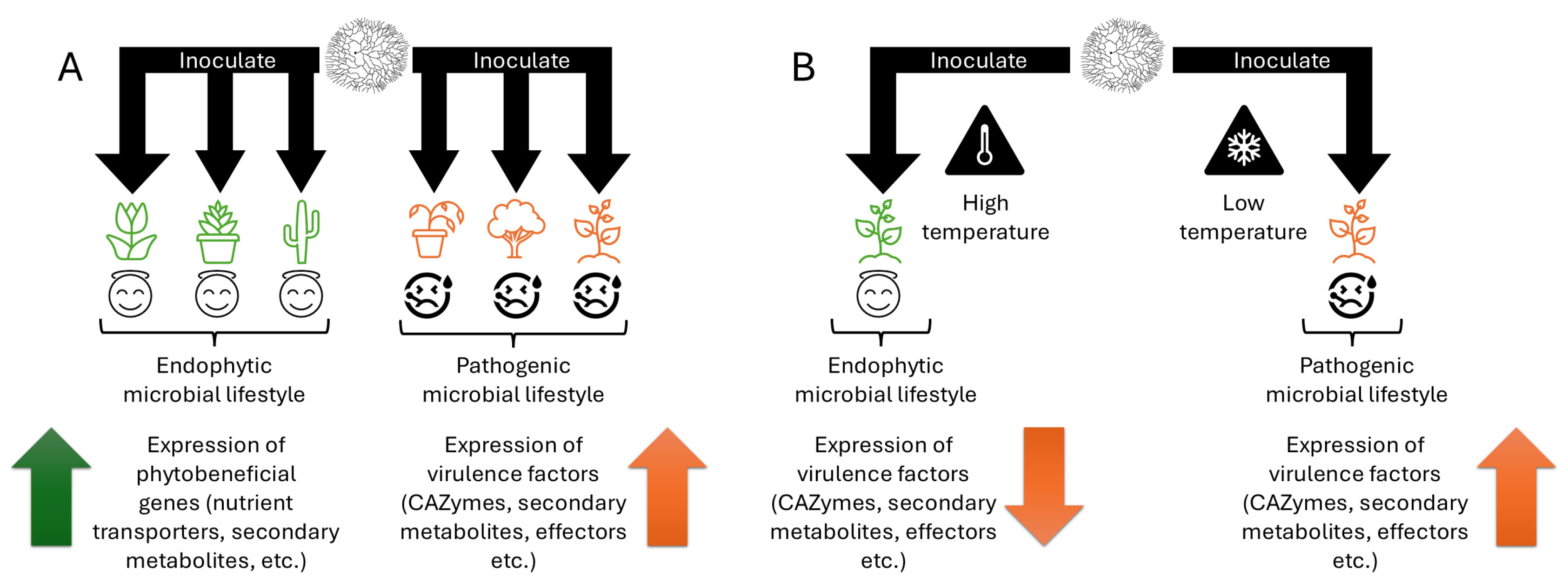 Microorganisms 13 00428 g001 Microorganisms 13 00428 g001