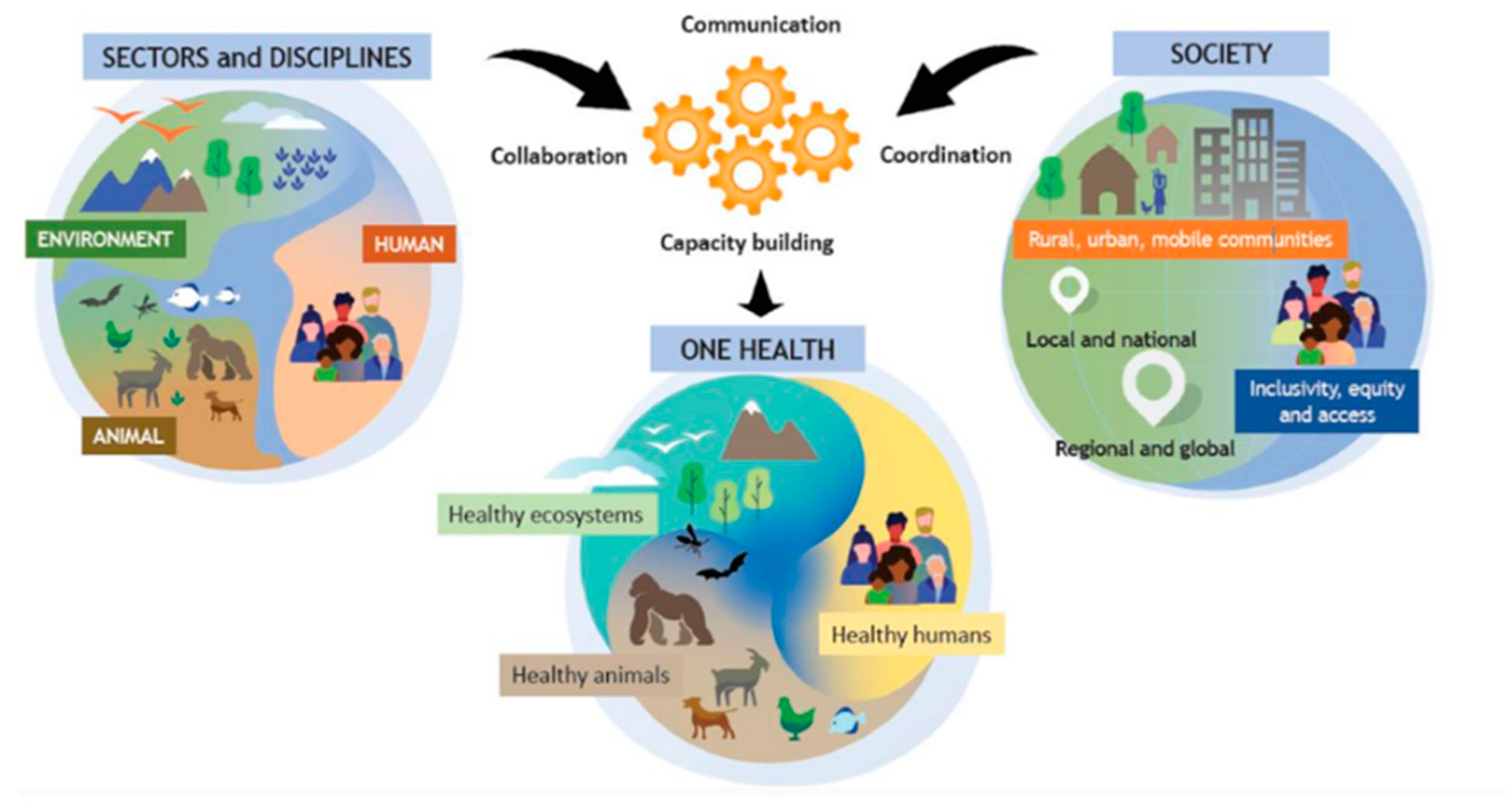 Microorganisms 13 00429 g001 Microorganisms 13 00429 g001