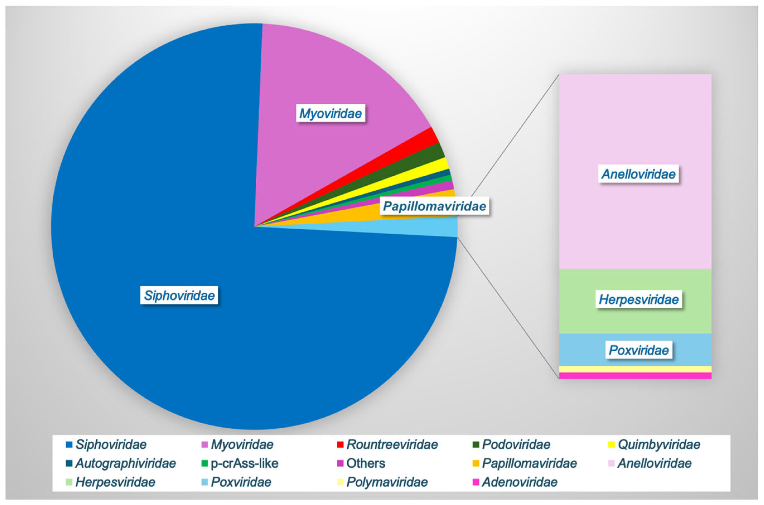 Microorganisms 13 00431 g002 Microorganisms 13 00431 g002