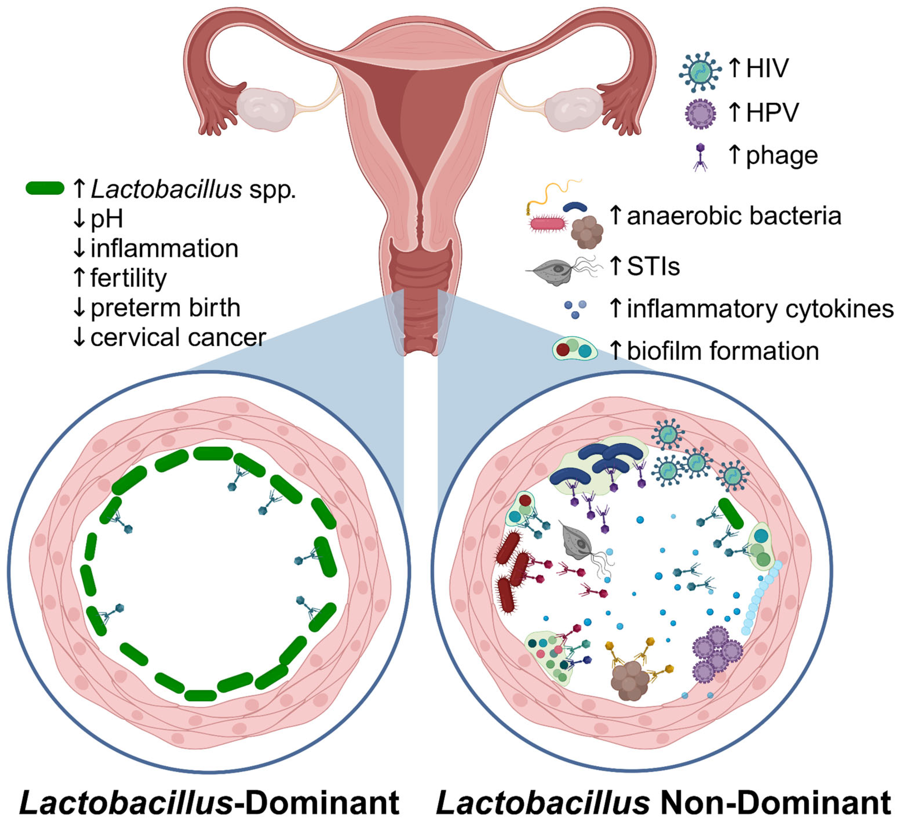 Microorganisms 13 00431 g003 Microorganisms 13 00431 g003
