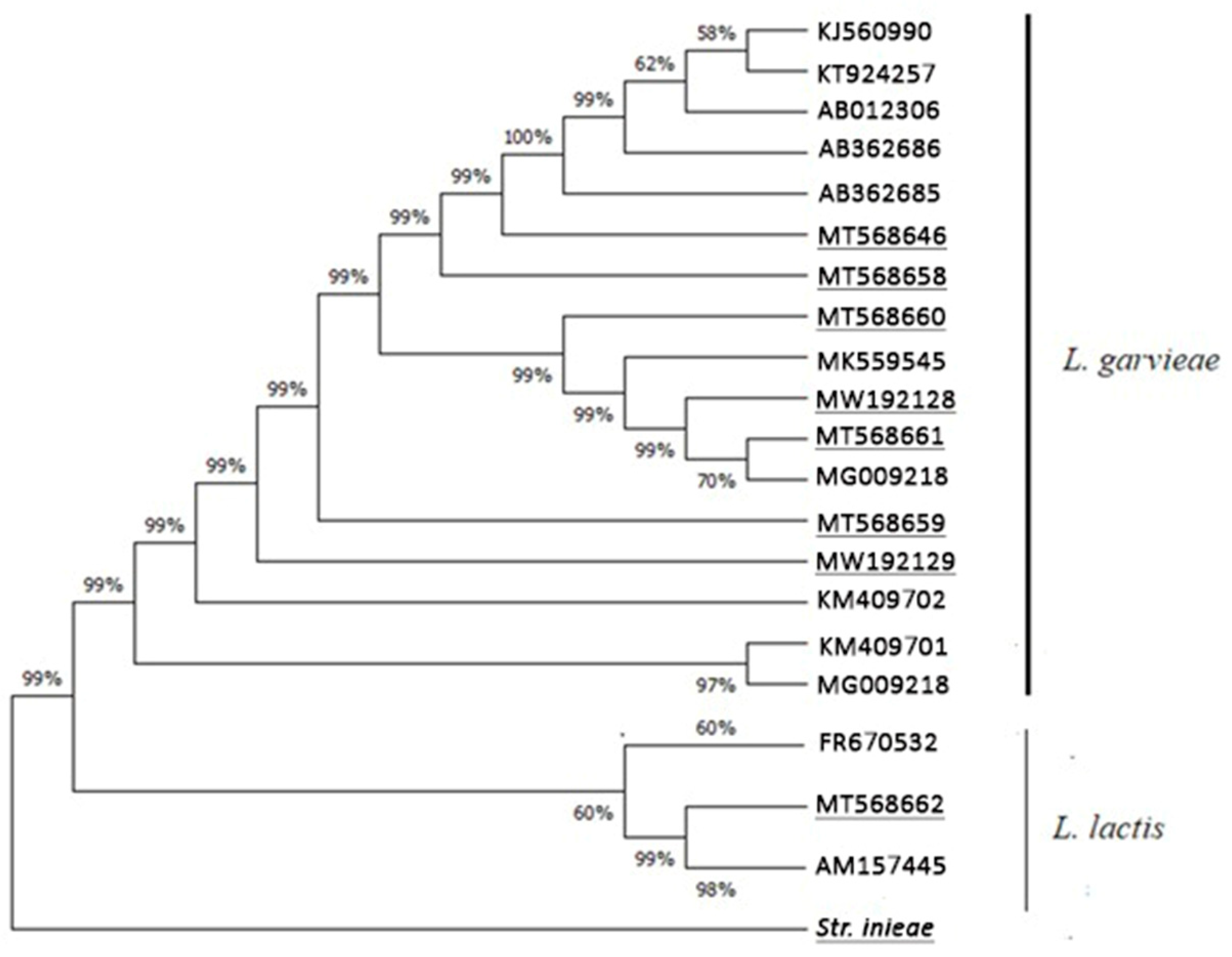 Microorganisms 13 00436 g006 Microorganisms 13 00436 g006