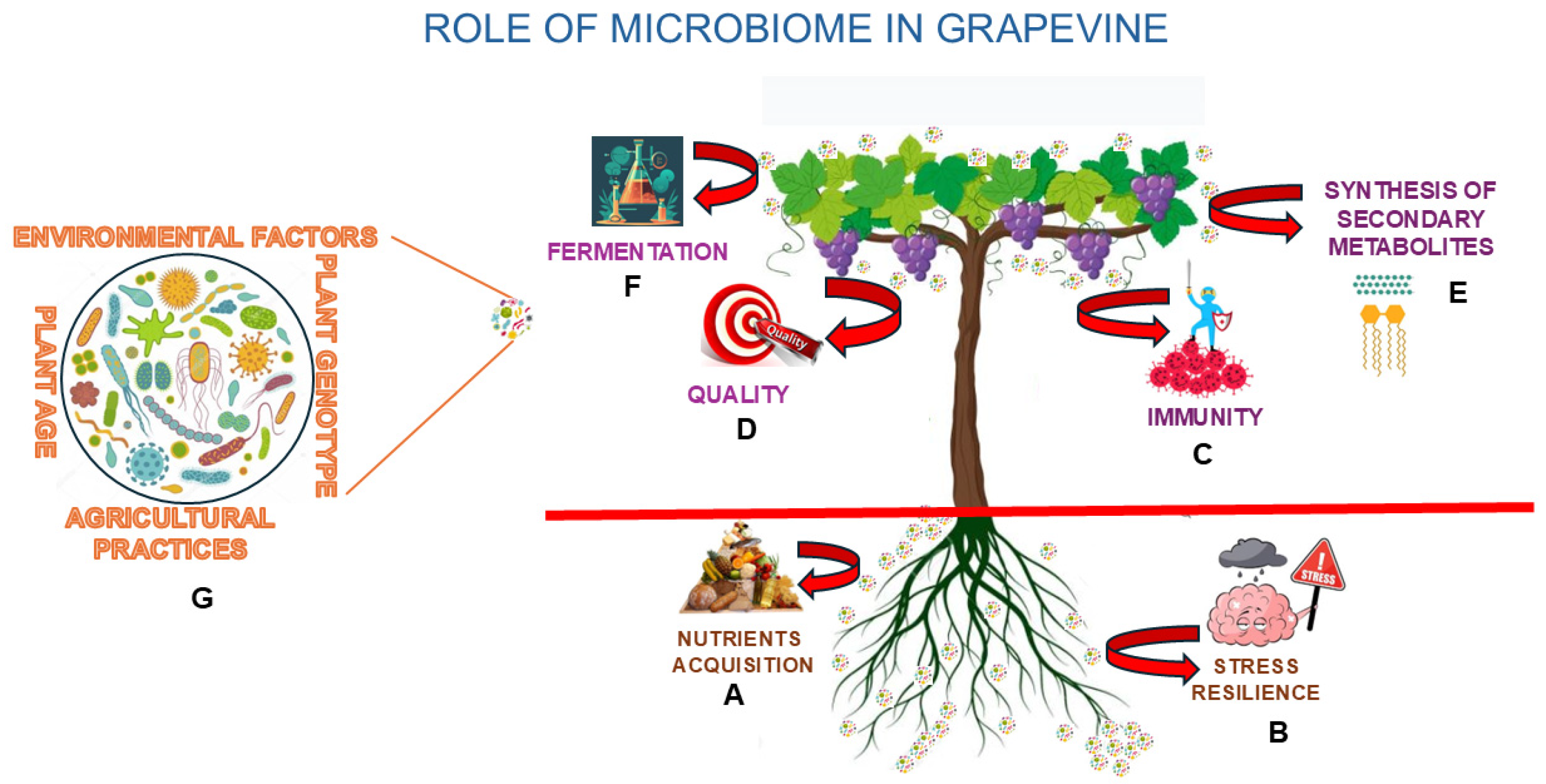 Microorganisms 13 00438 g001