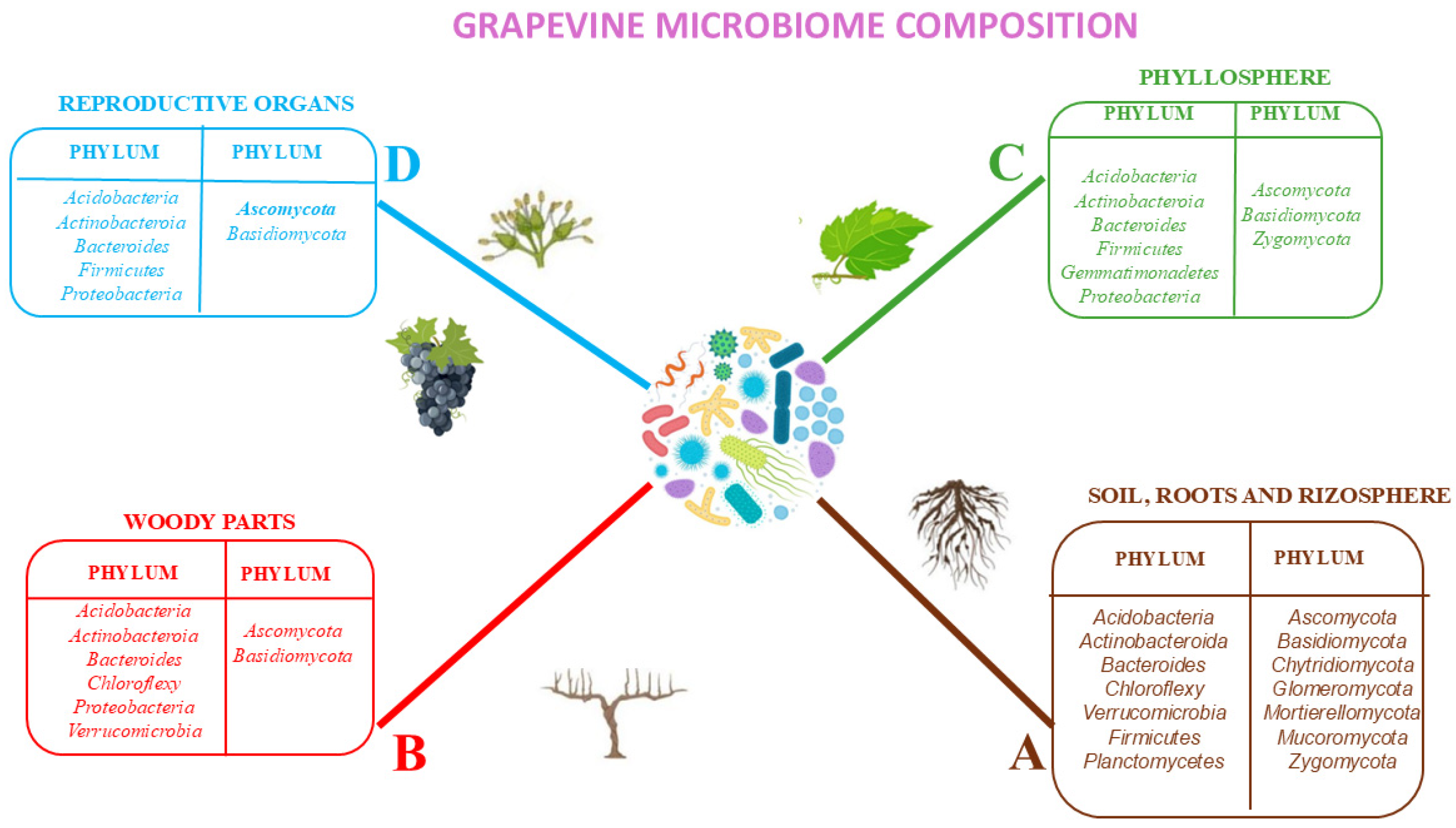 Microorganisms 13 00438 g003