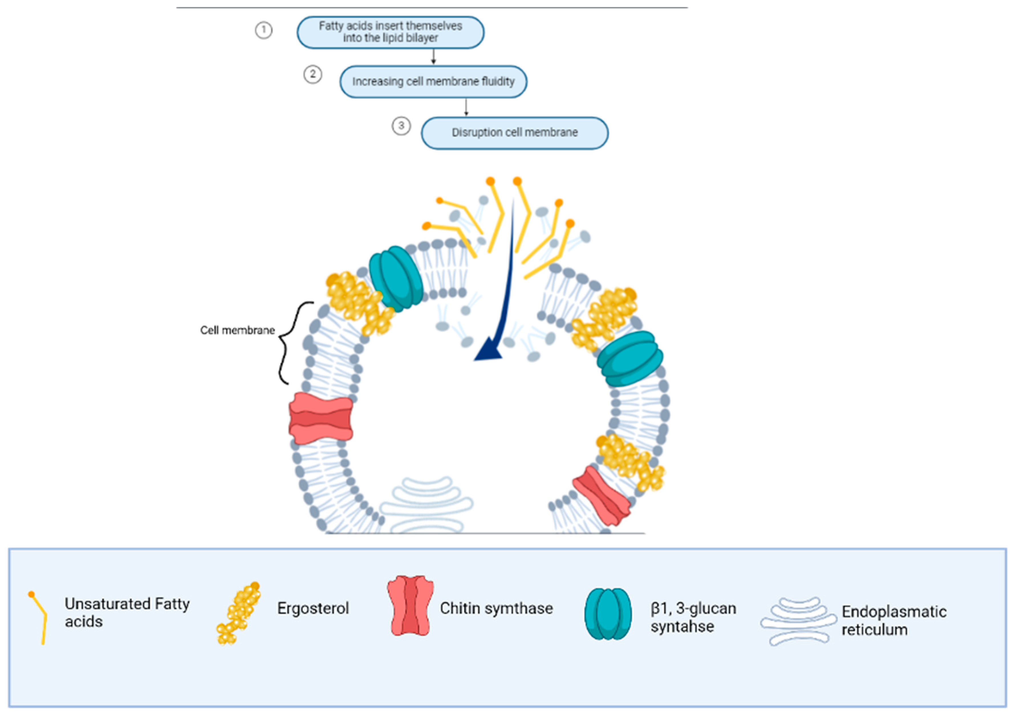 Microorganisms 13 00439 g004