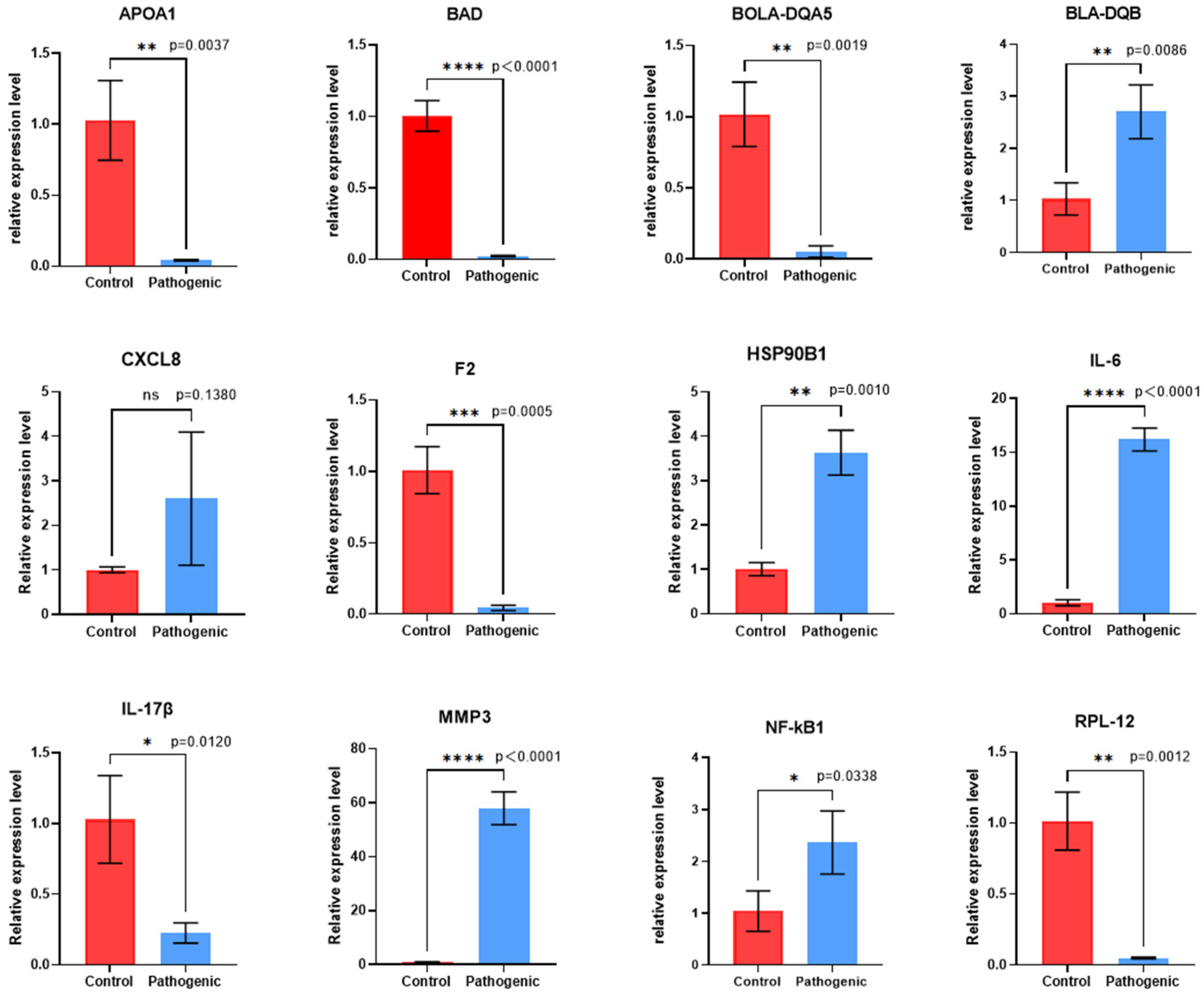 Microorganisms 13 00442 g004 Microorganisms 13 00442 g004