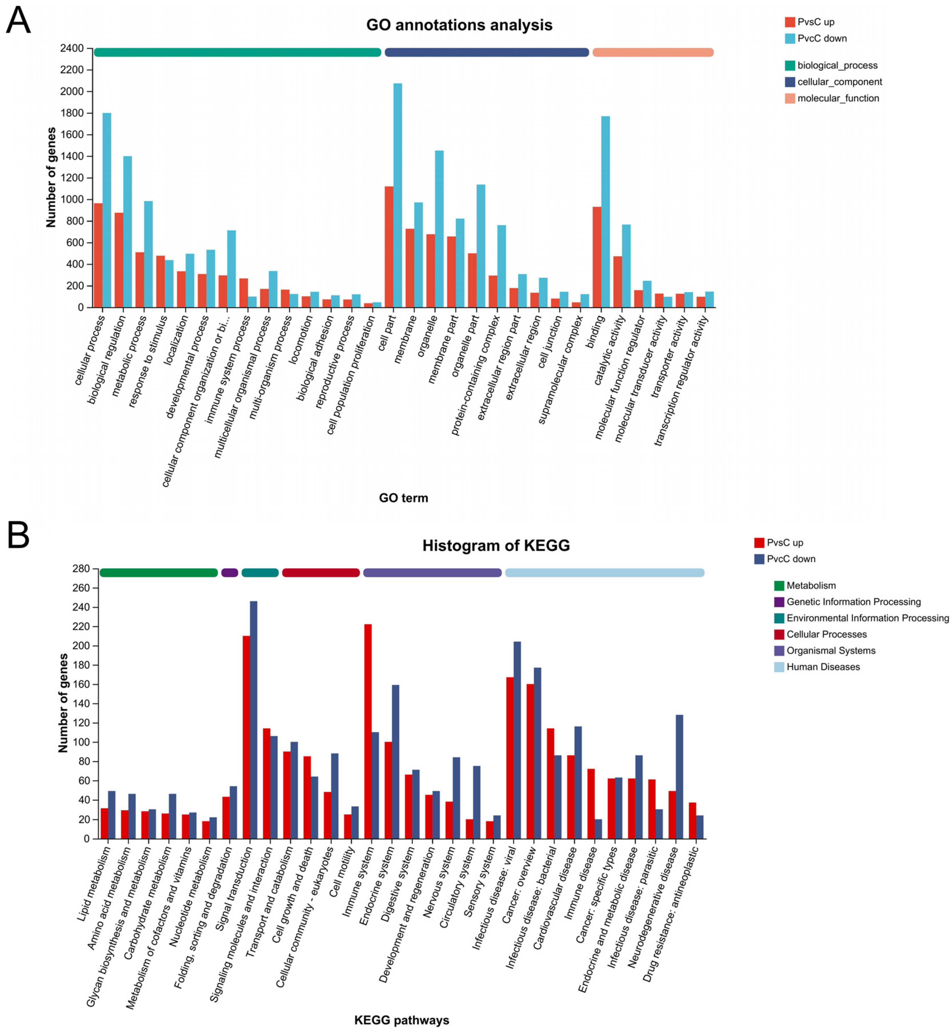 Microorganisms 13 00442 g005 Microorganisms 13 00442 g005