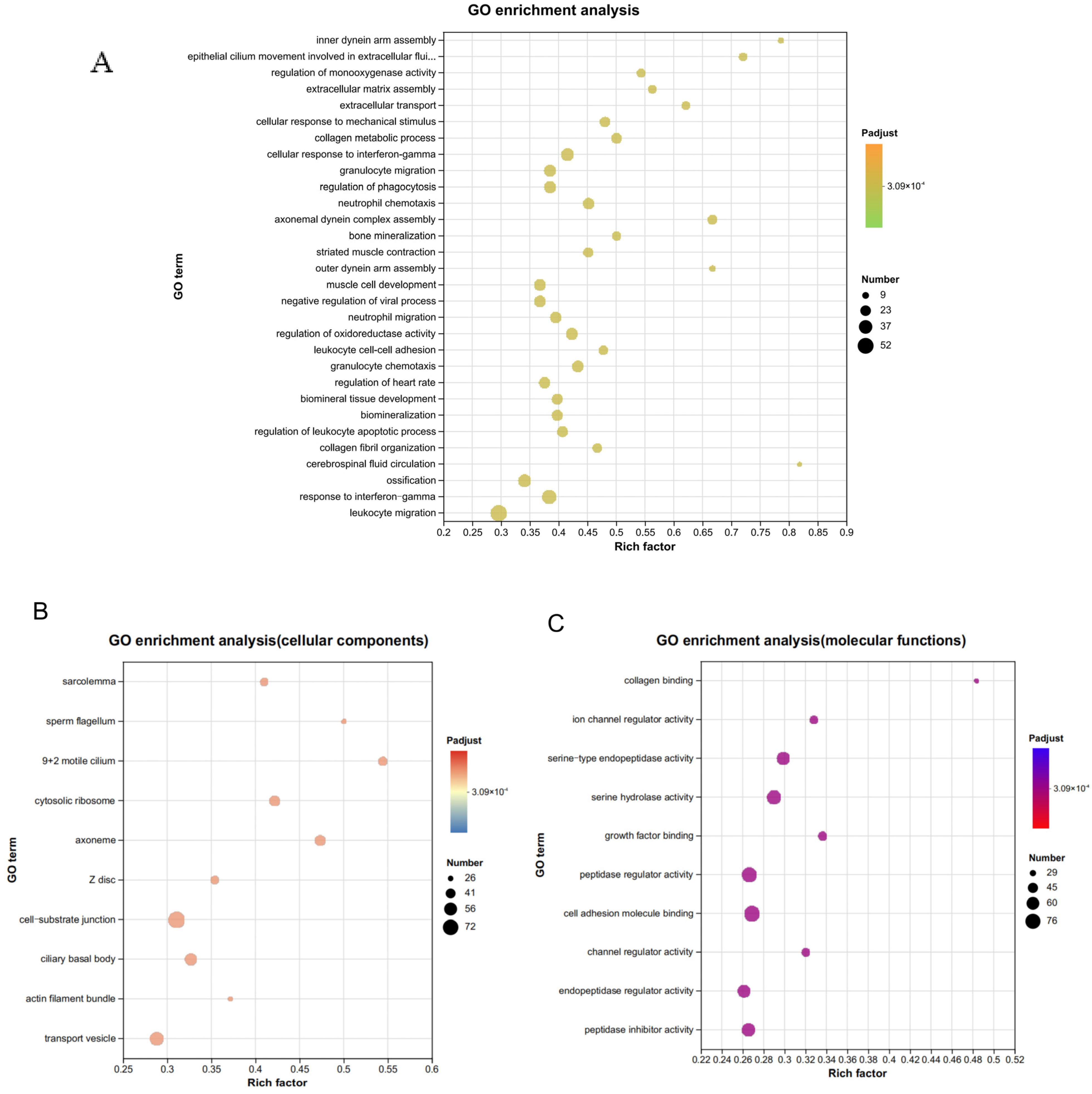 Microorganisms 13 00442 g006 Microorganisms 13 00442 g006