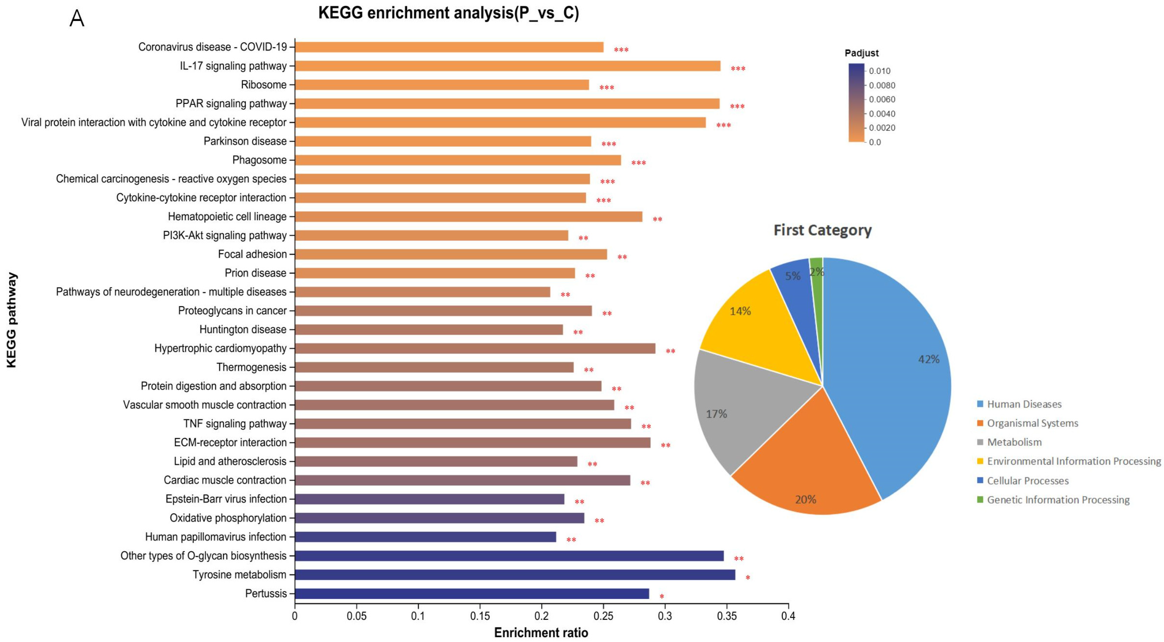 Microorganisms 13 00442 g007a Microorganisms 13 00442 g007a
