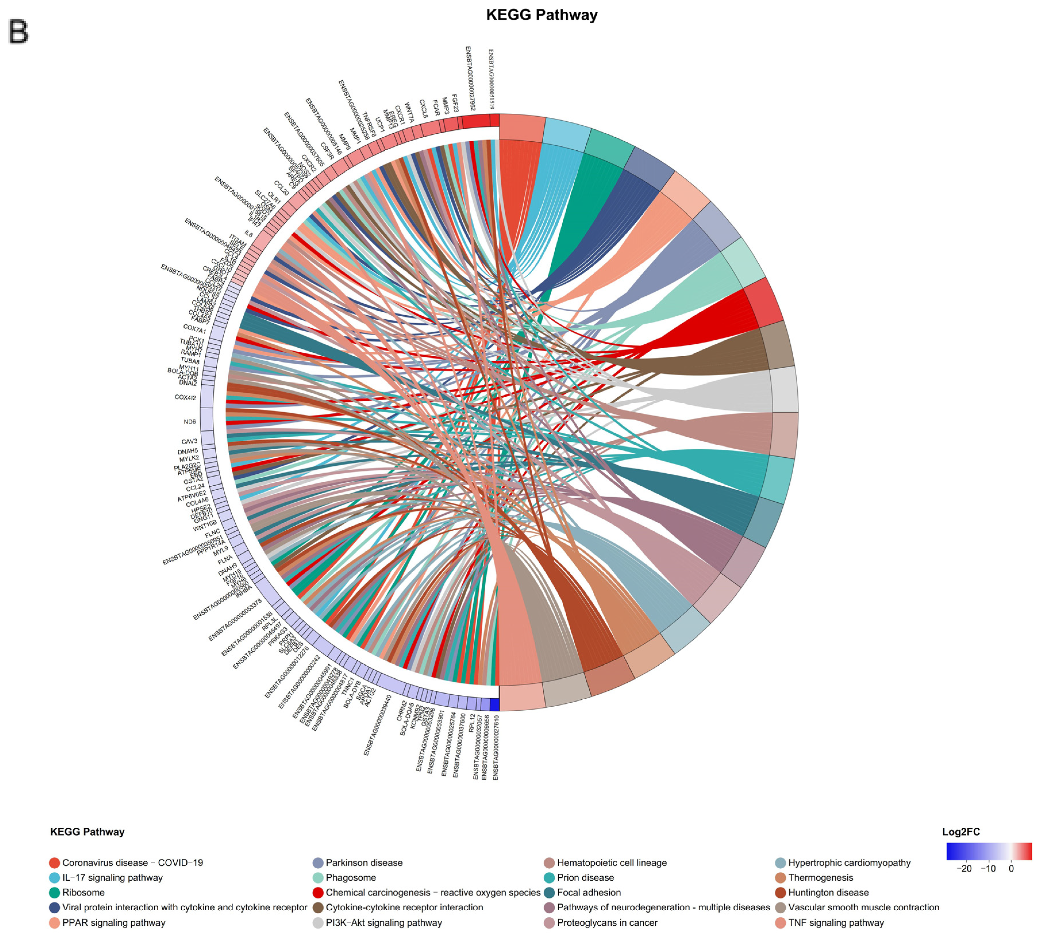 Microorganisms 13 00442 g007b Microorganisms 13 00442 g007b