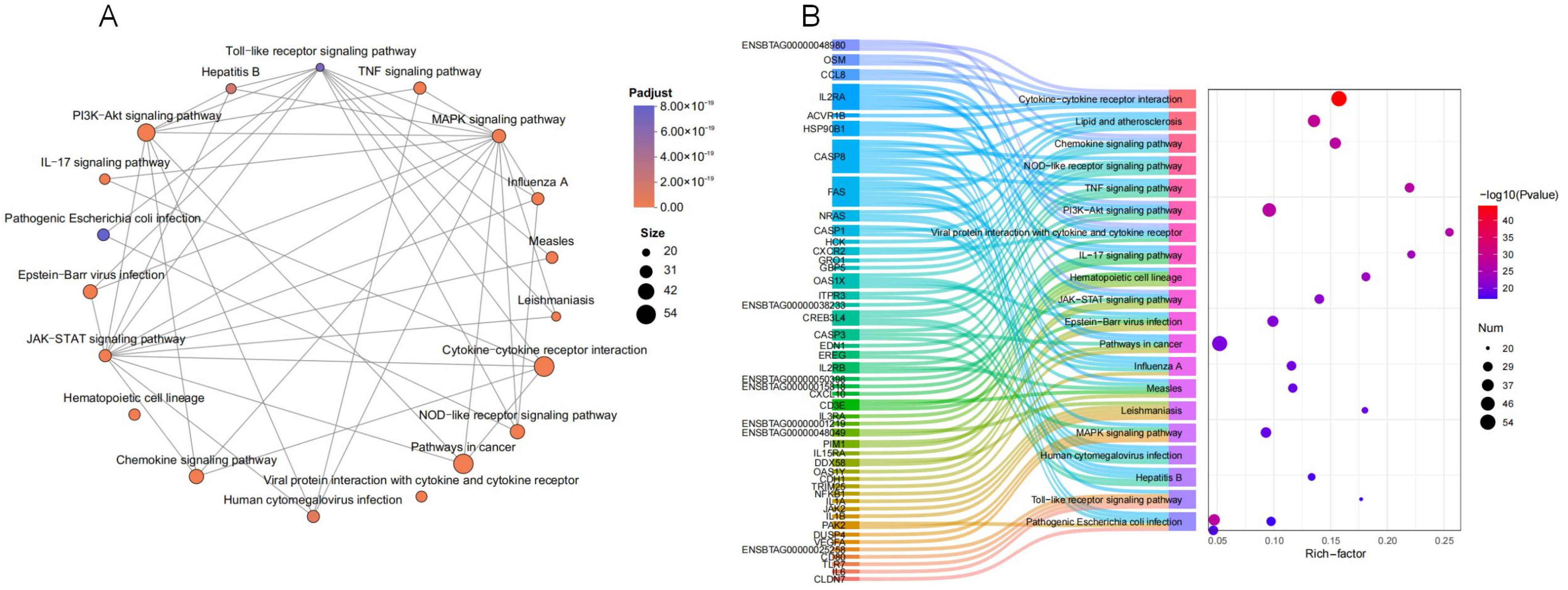 Microorganisms 13 00442 g008 Microorganisms 13 00442 g008