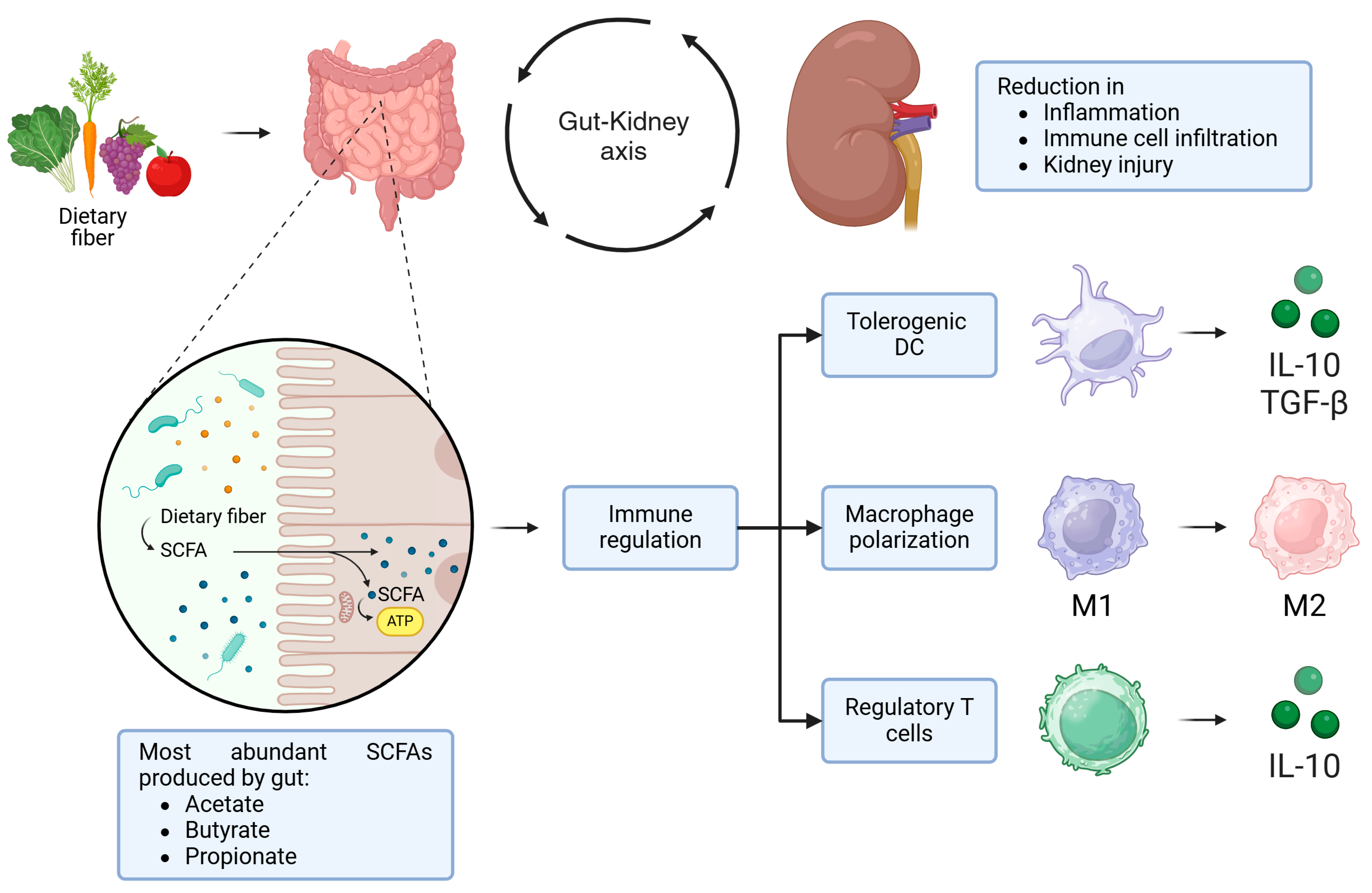 Microorganisms 13 00445 g003