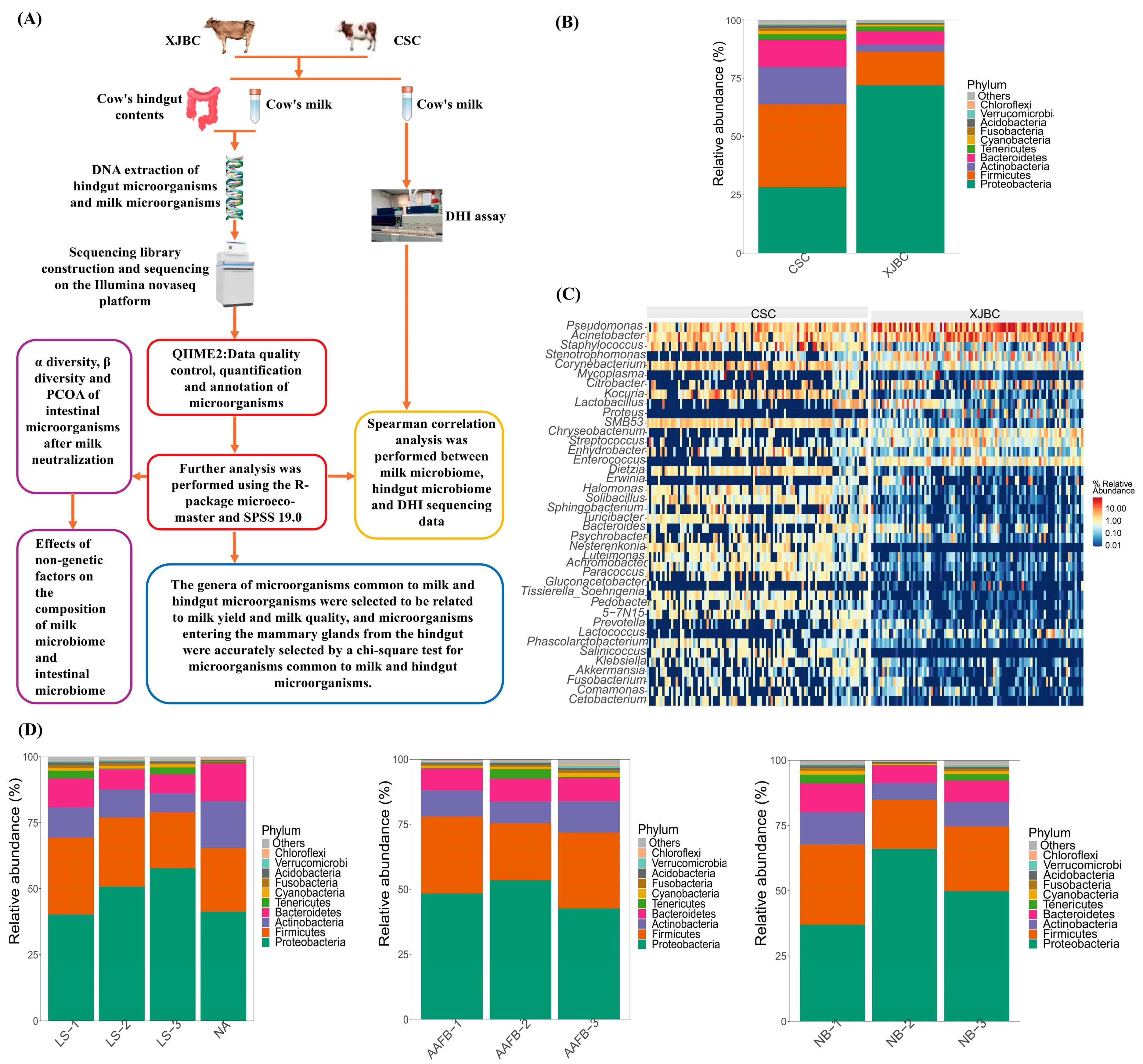 Microorganisms 13 00448 g001