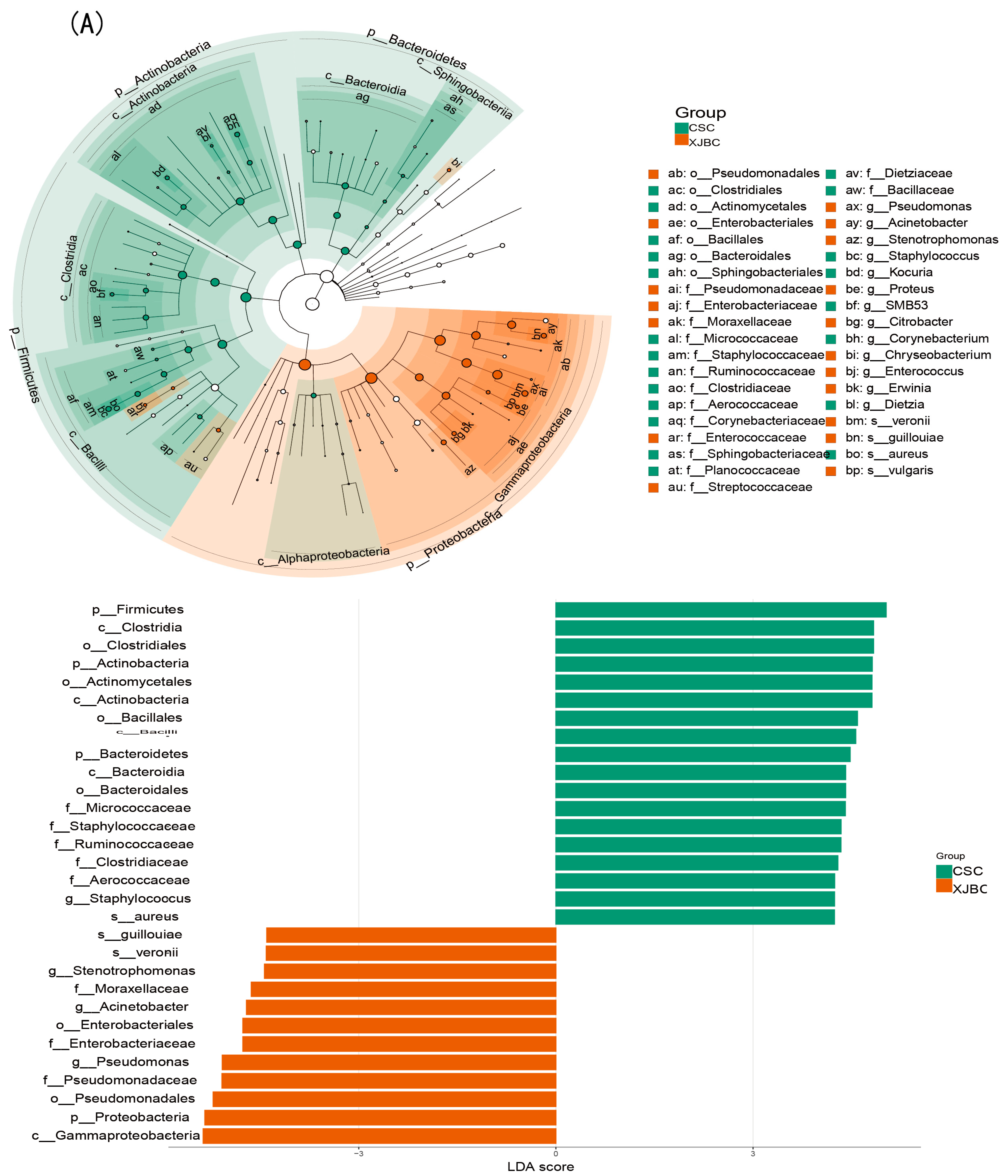 Microorganisms 13 00448 g010a
