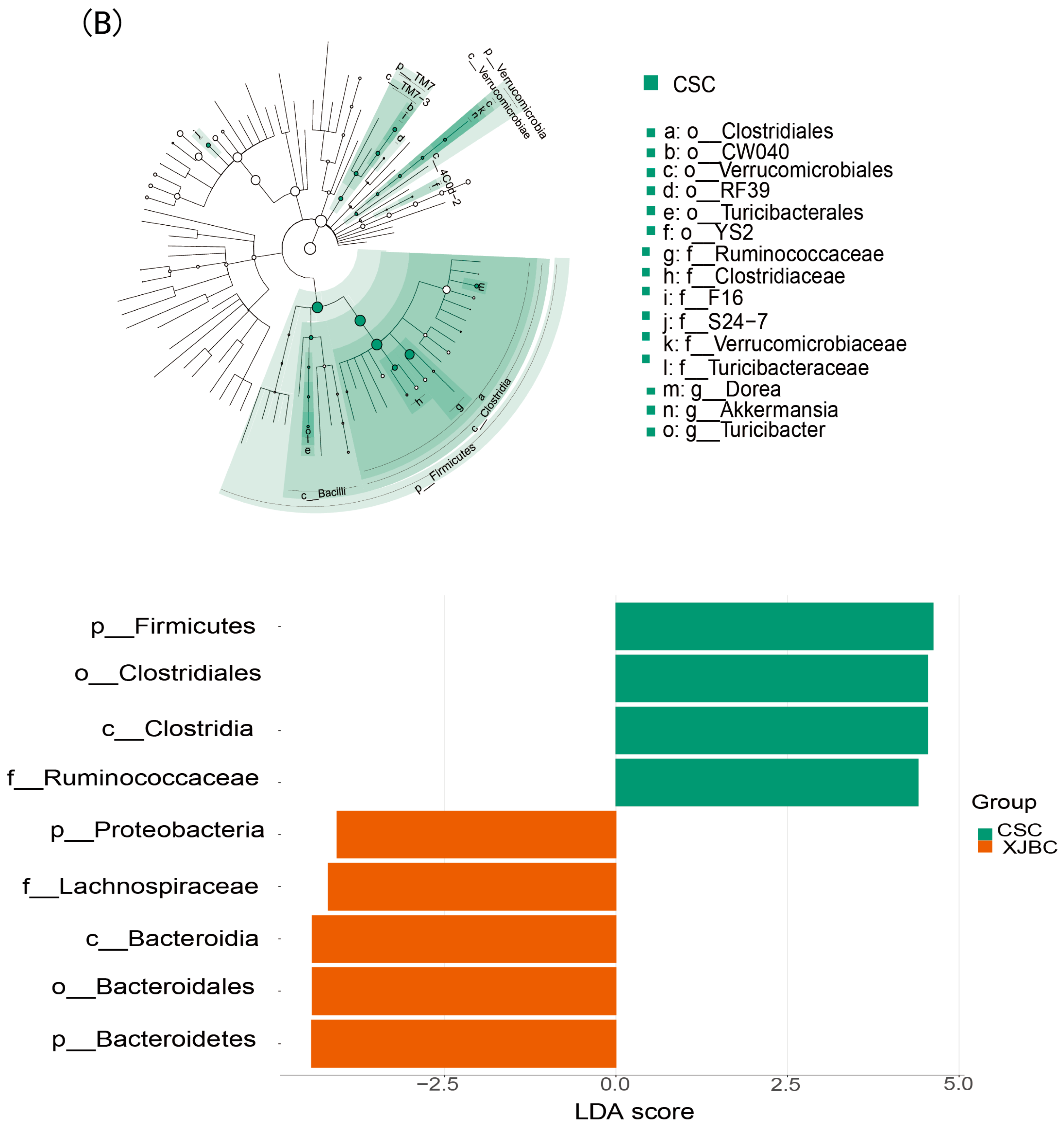 Microorganisms 13 00448 g010b