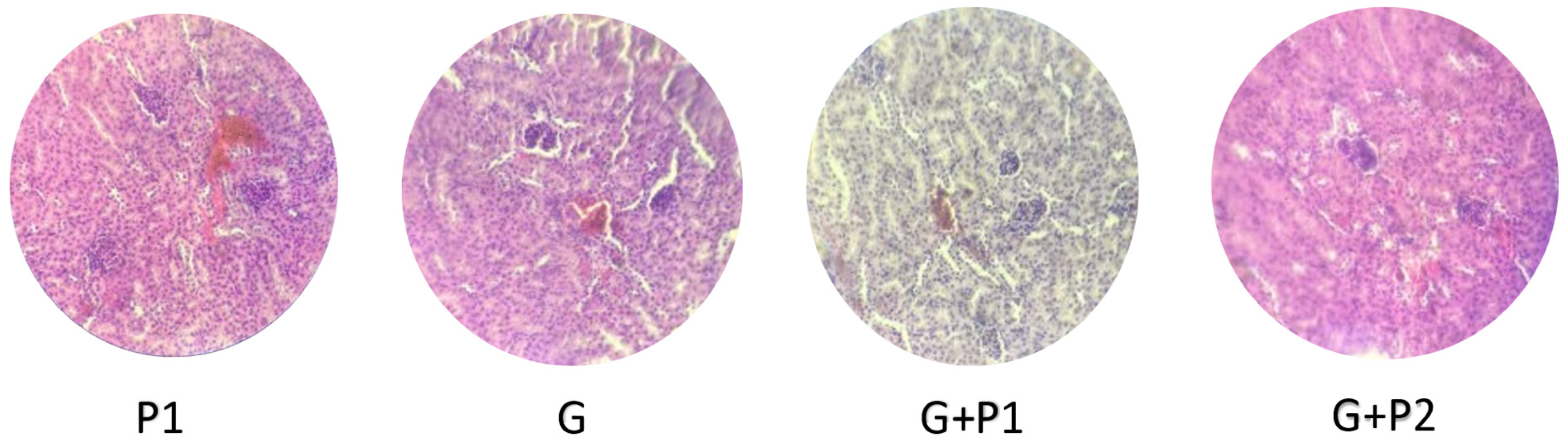 Microorganisms 13 00460 g009