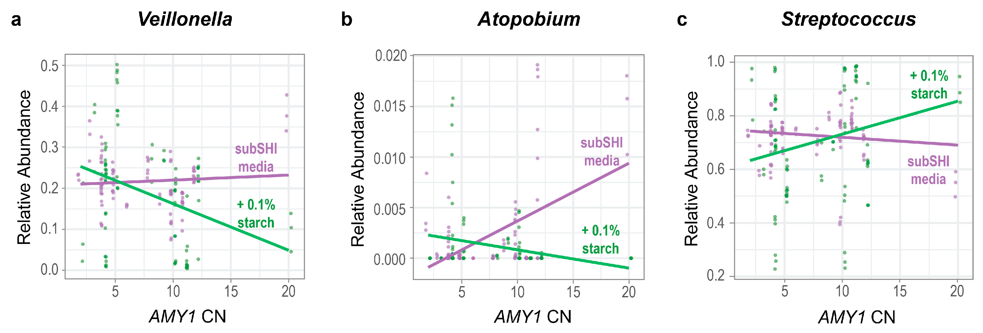 Microorganisms 13 00461 g004