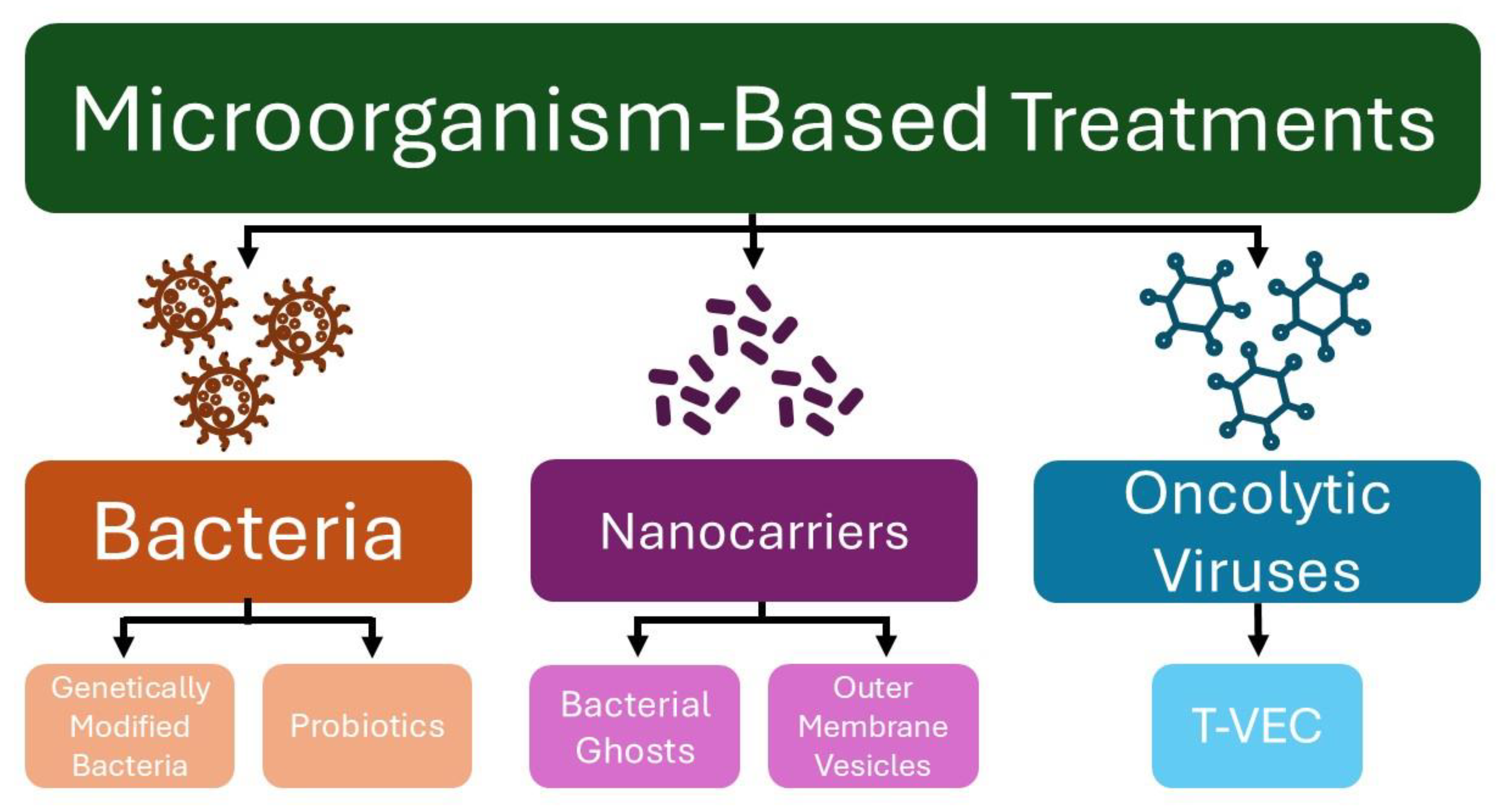 Microorganisms 13 00462 g001