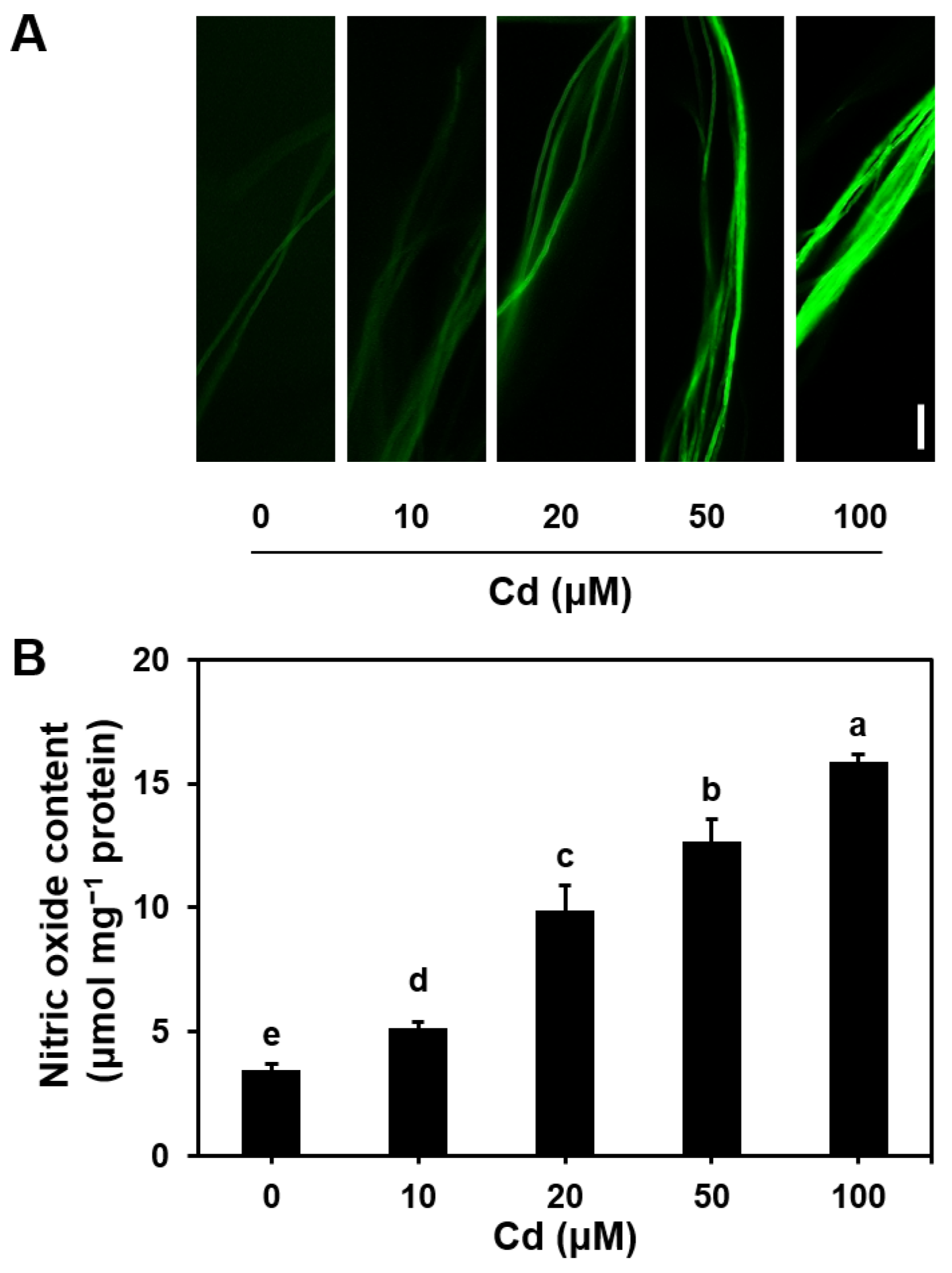 Microorganisms 13 00470 g002
