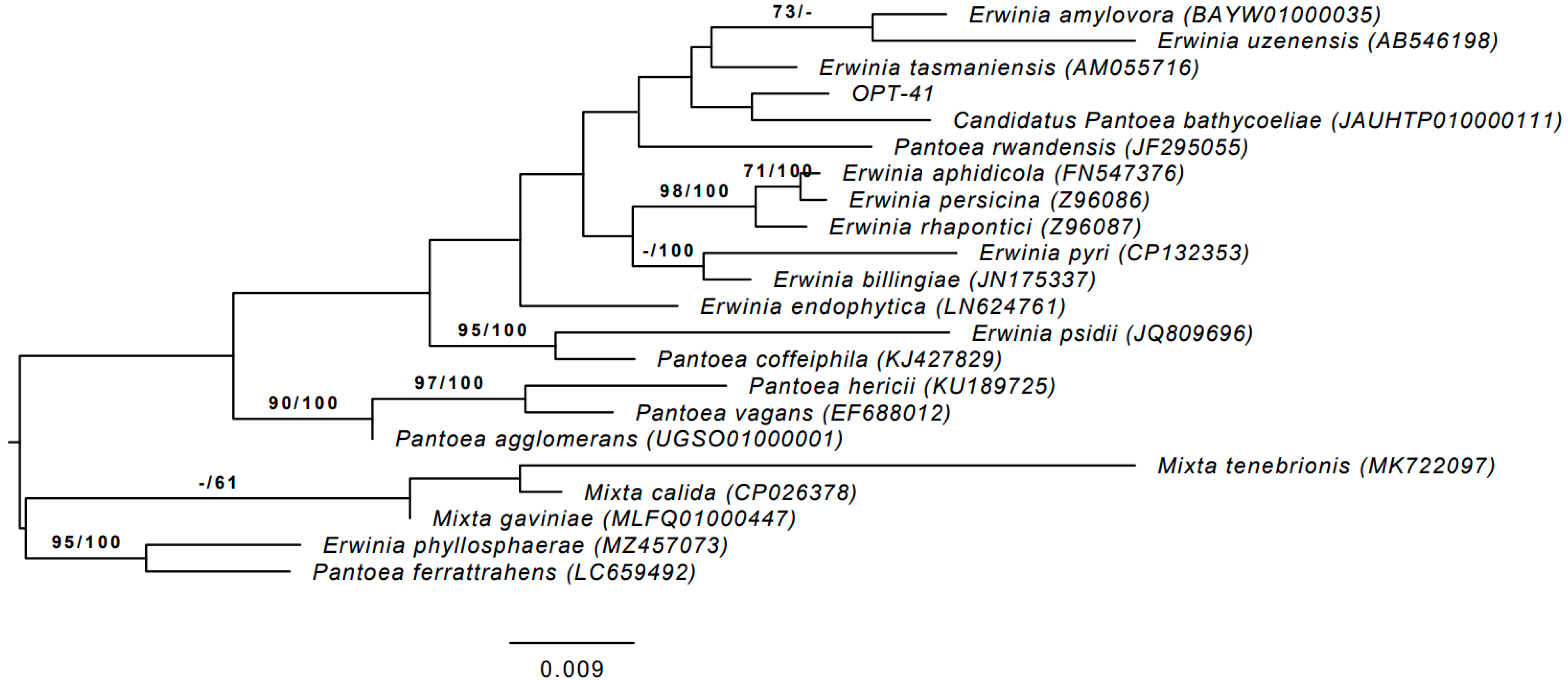 Microorganisms 13 00474 g001