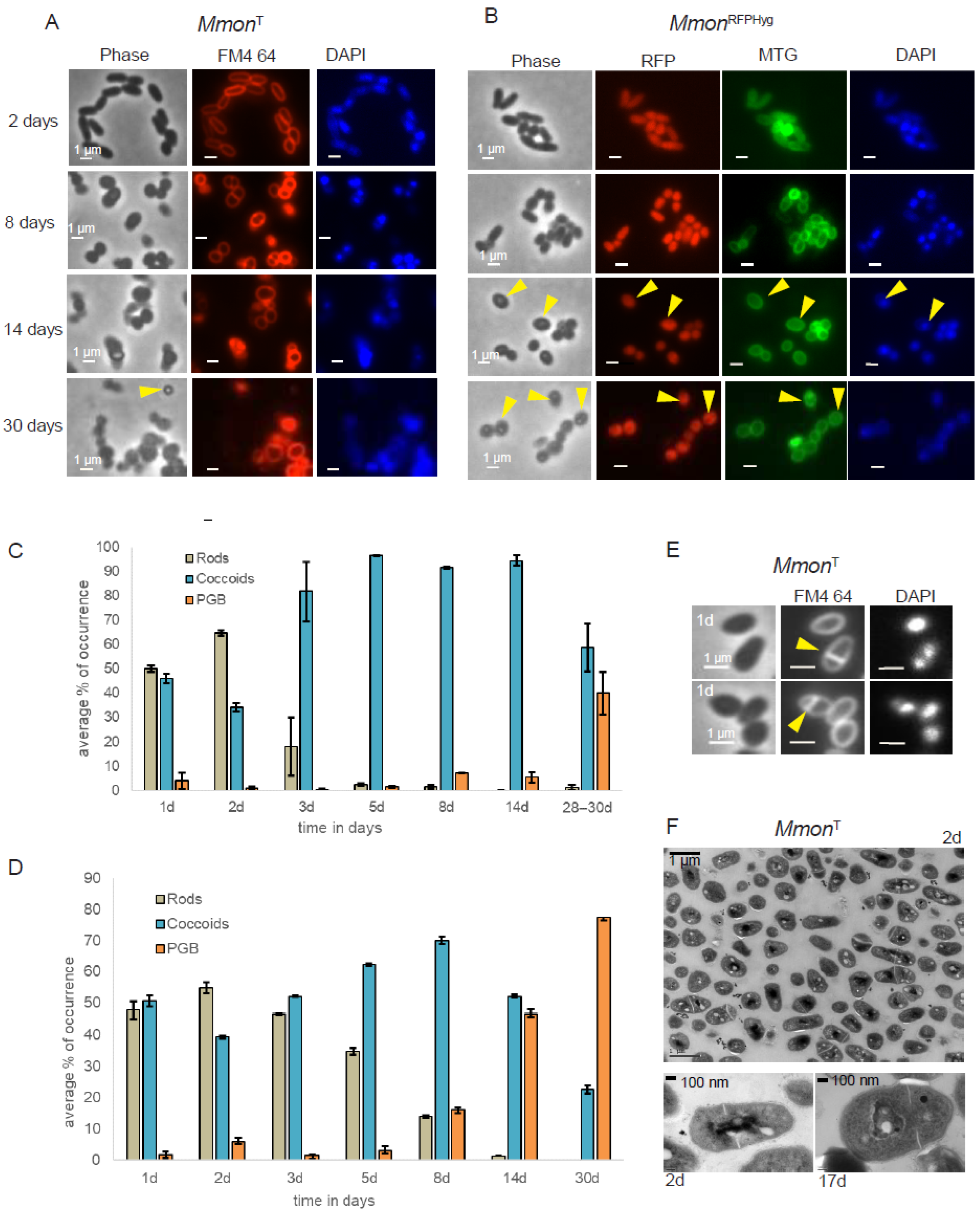 Microorganisms 13 00475 g002 Microorganisms 13 00475 g002