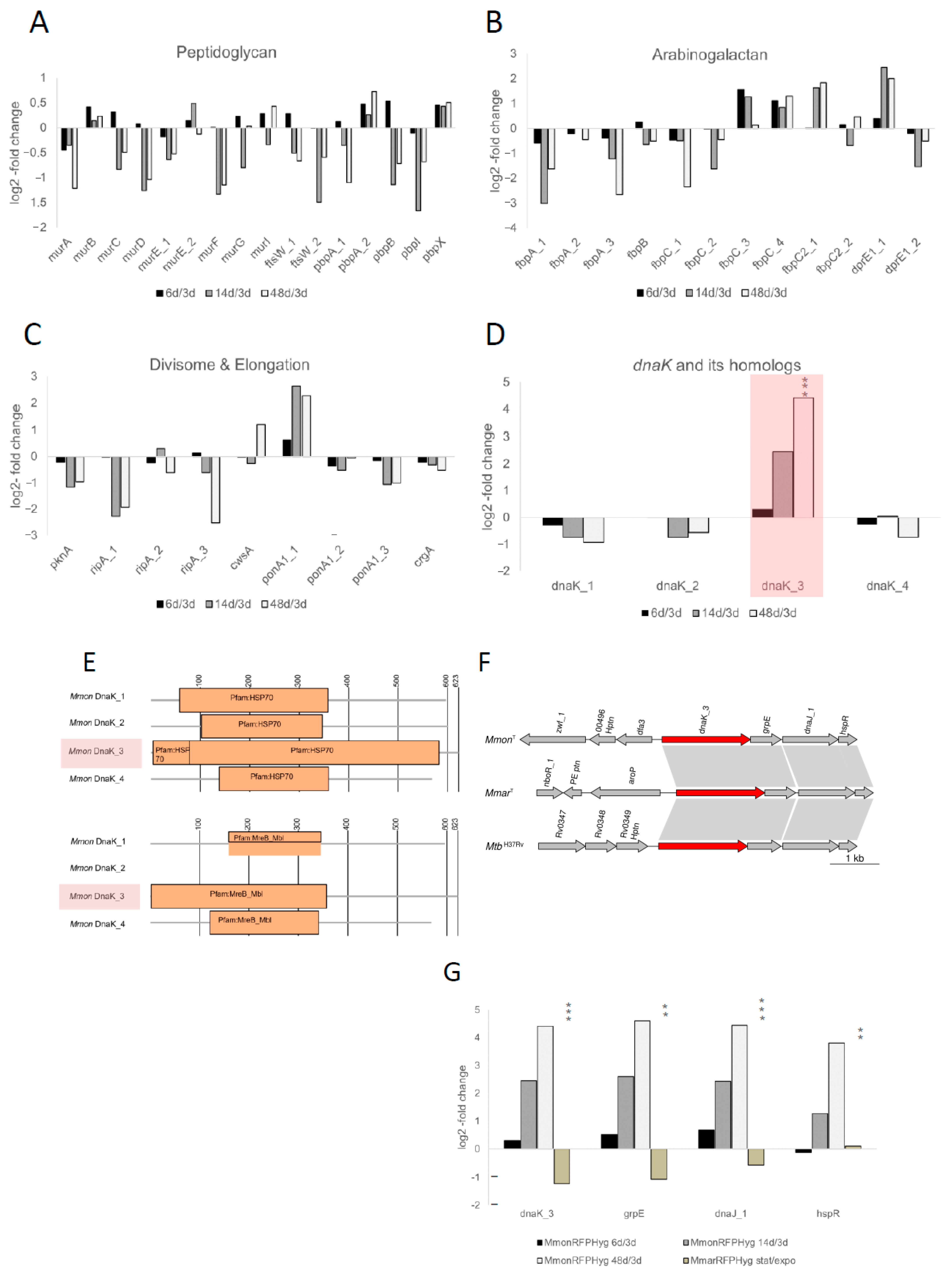 Microorganisms 13 00475 g005 Microorganisms 13 00475 g005