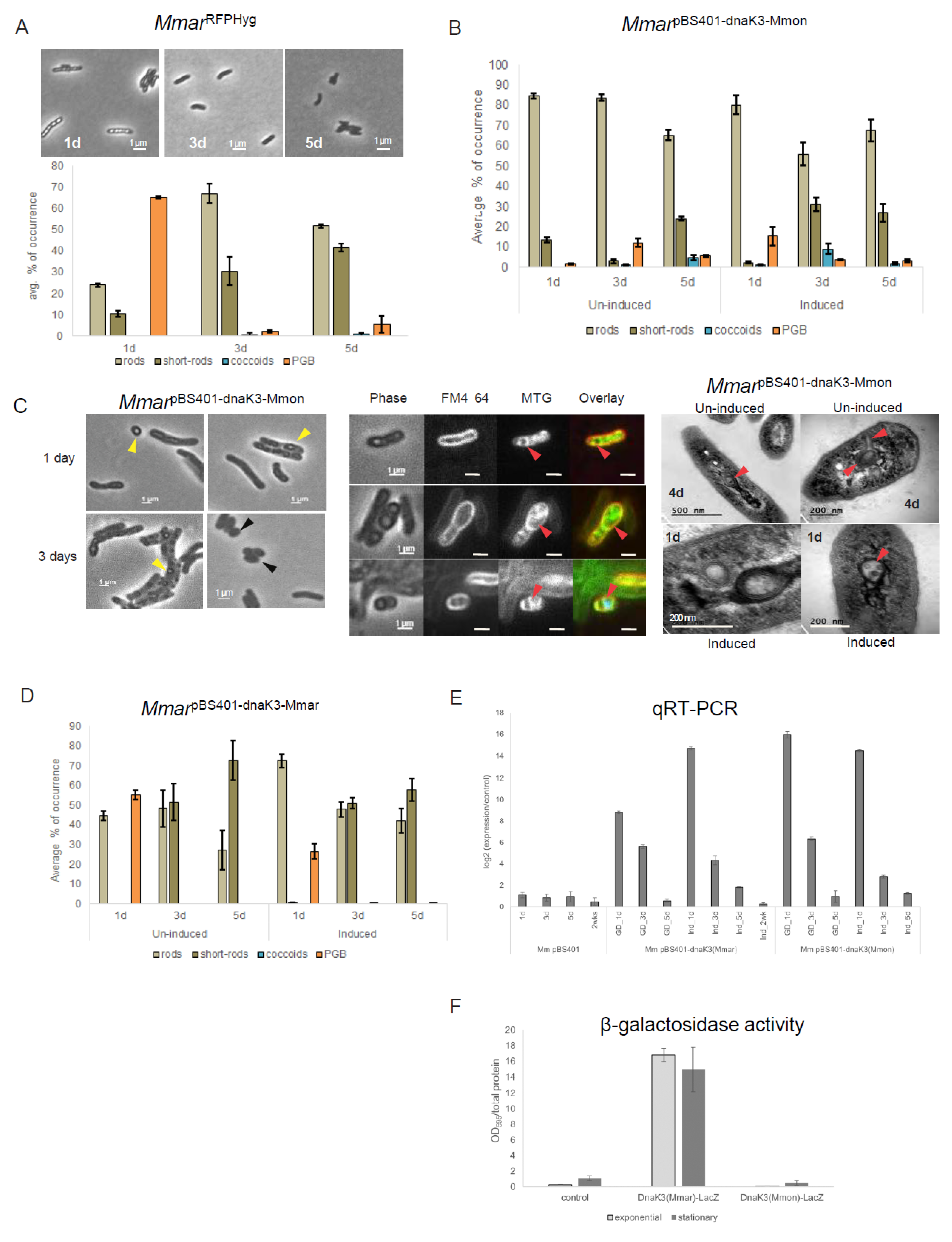 Microorganisms 13 00475 g006 Microorganisms 13 00475 g006