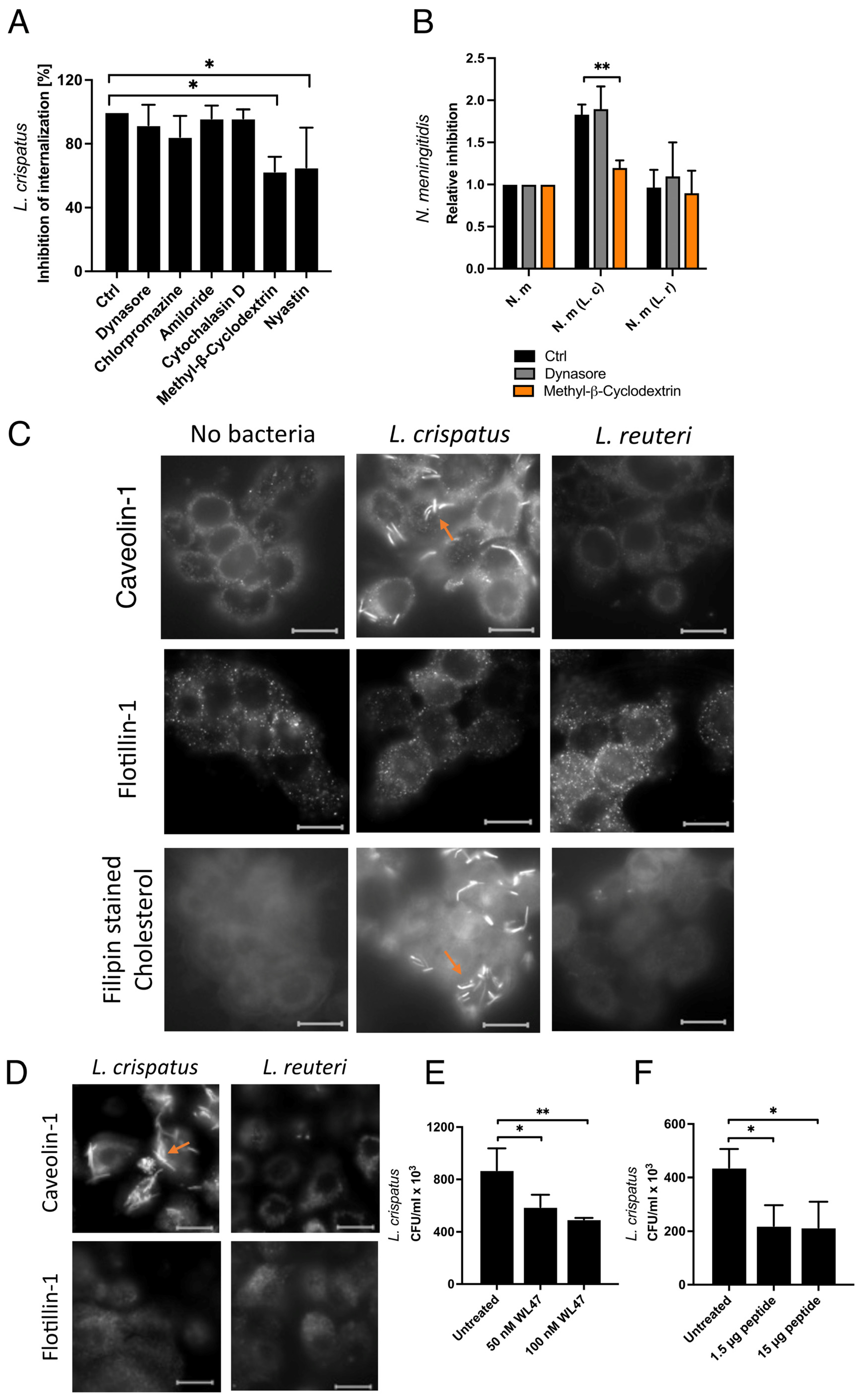 Microorganisms 13 00479 g005