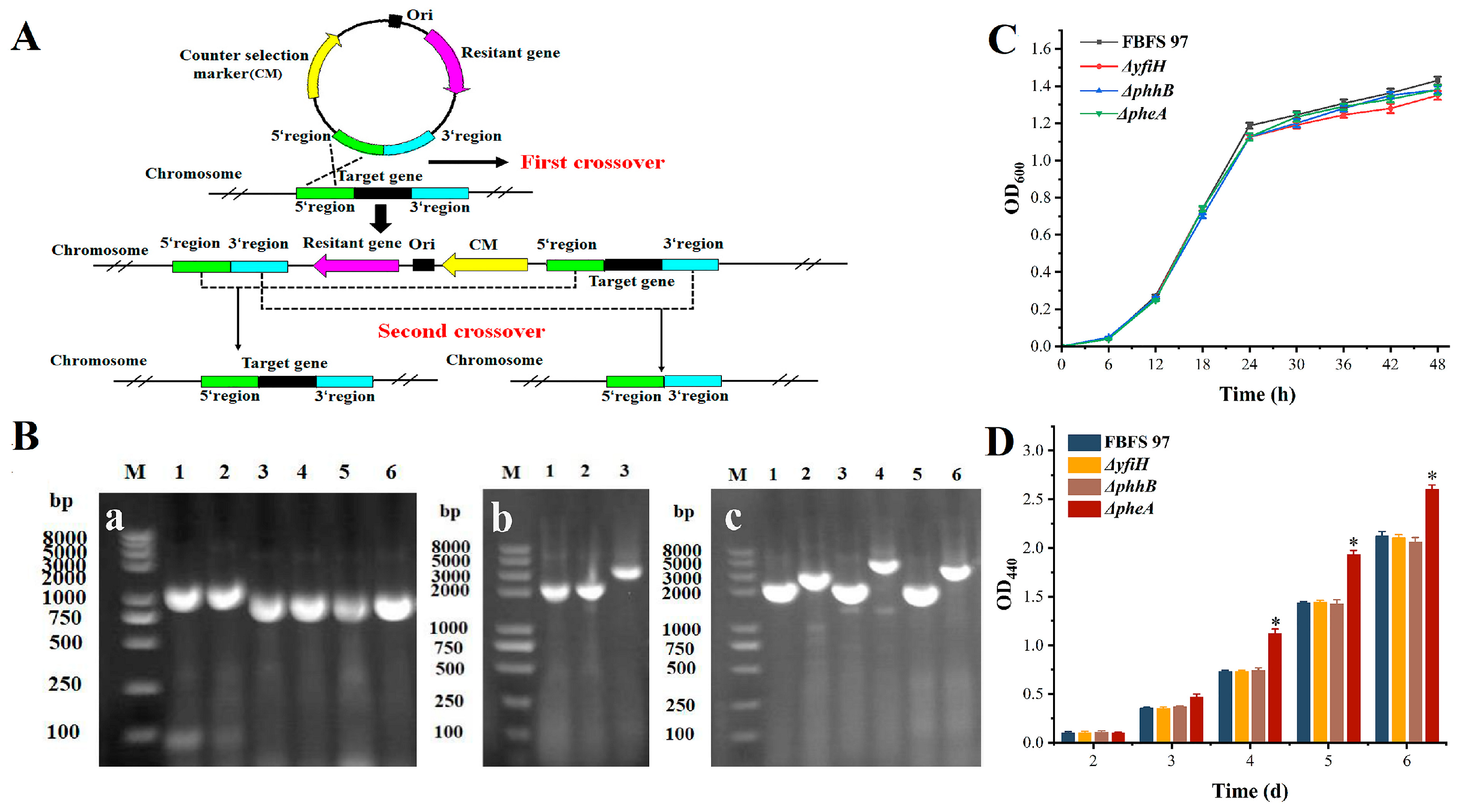 Microorganisms 13 00480 g006