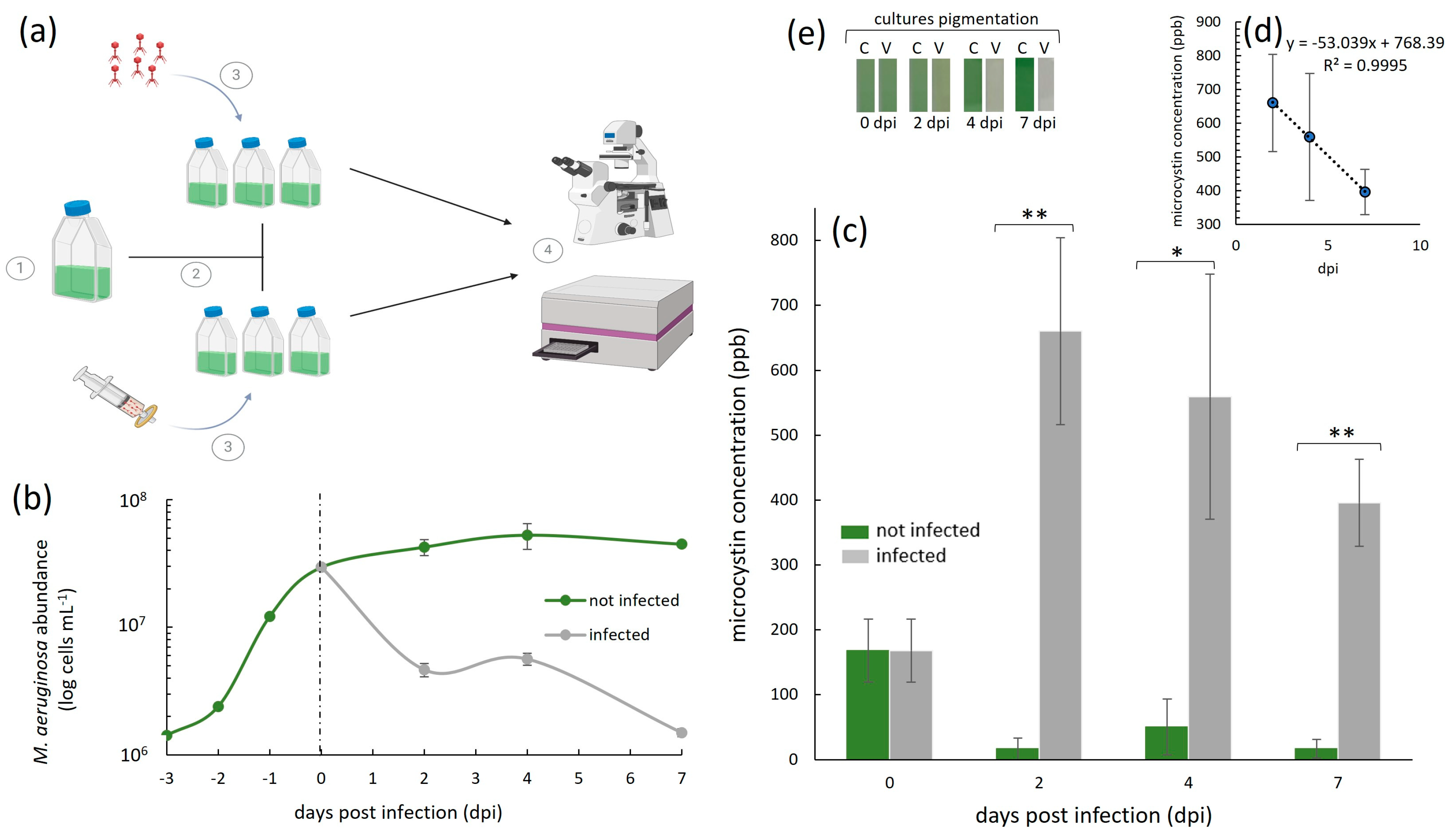 Microorganisms 13 00486 g002