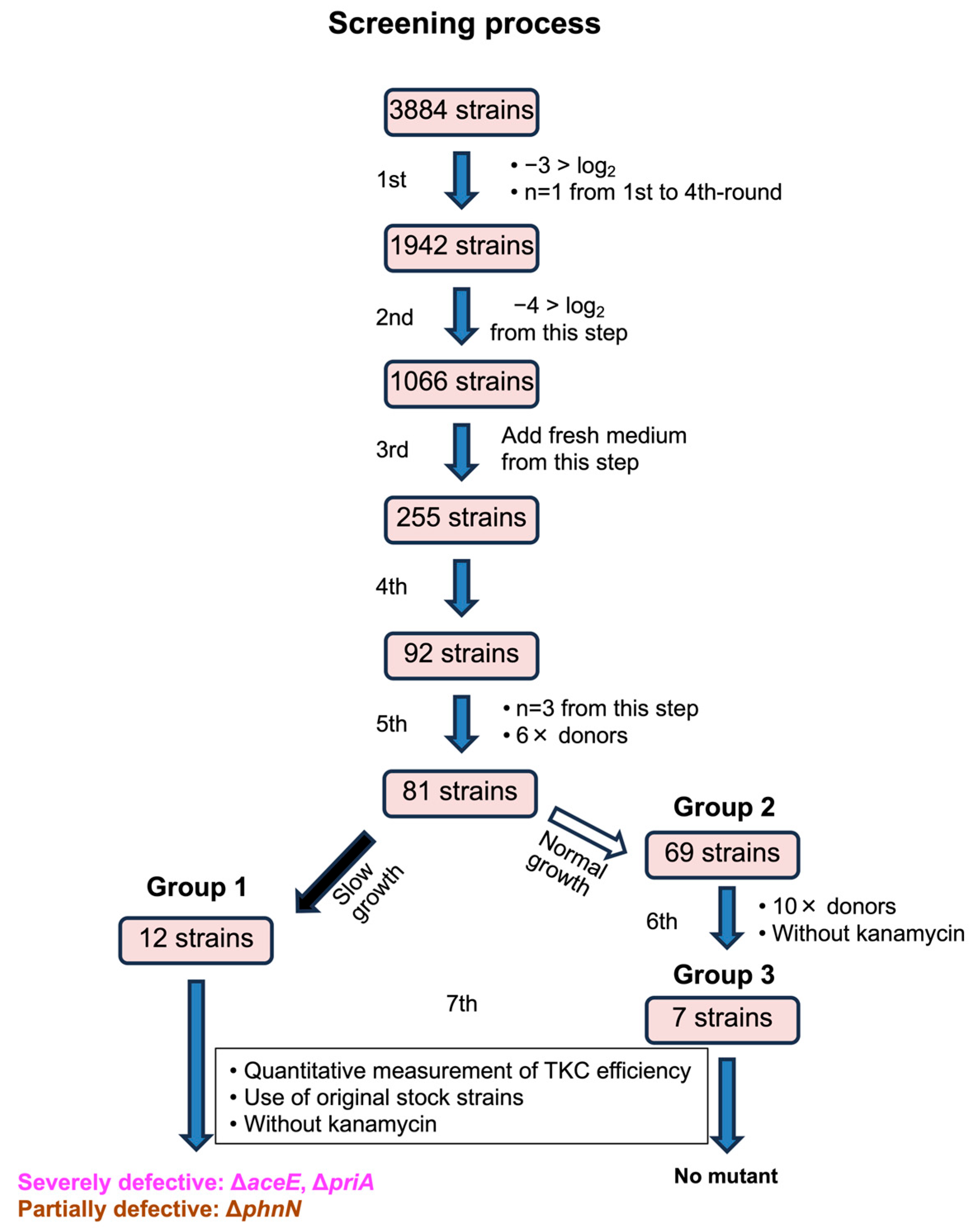 Microorganisms 13 00488 g001 Microorganisms 13 00488 g001