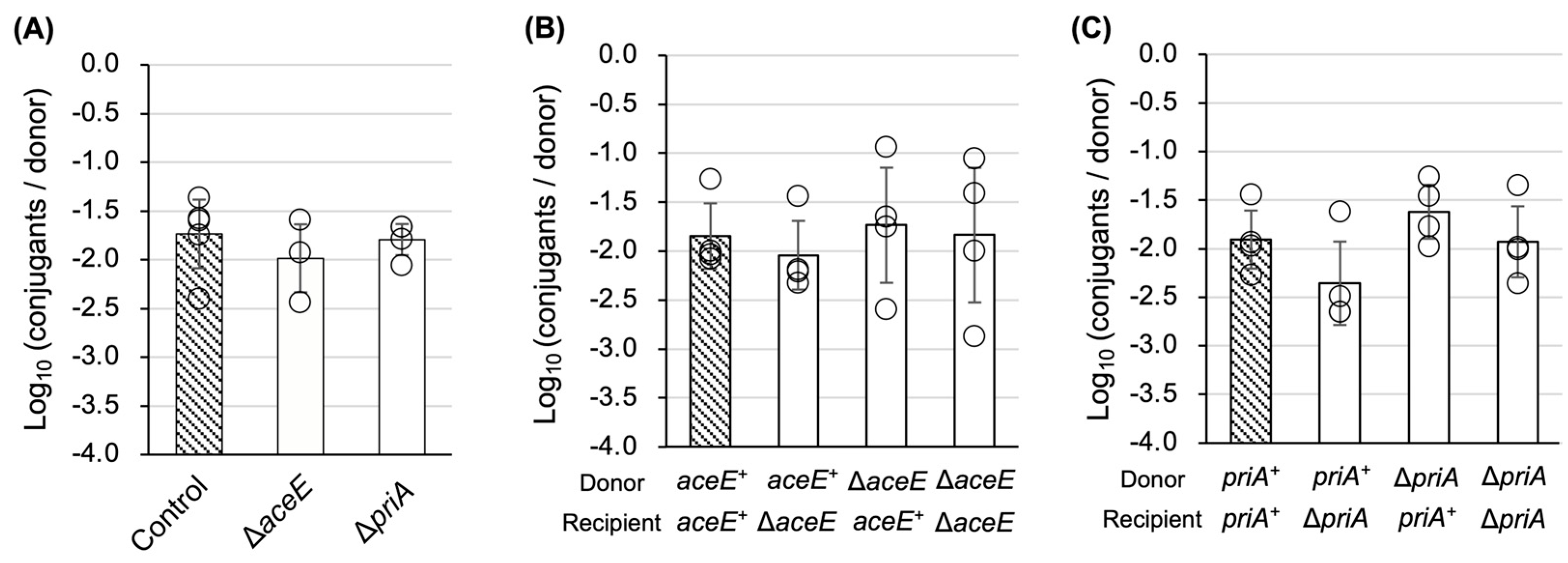 Microorganisms 13 00488 g004 Microorganisms 13 00488 g004