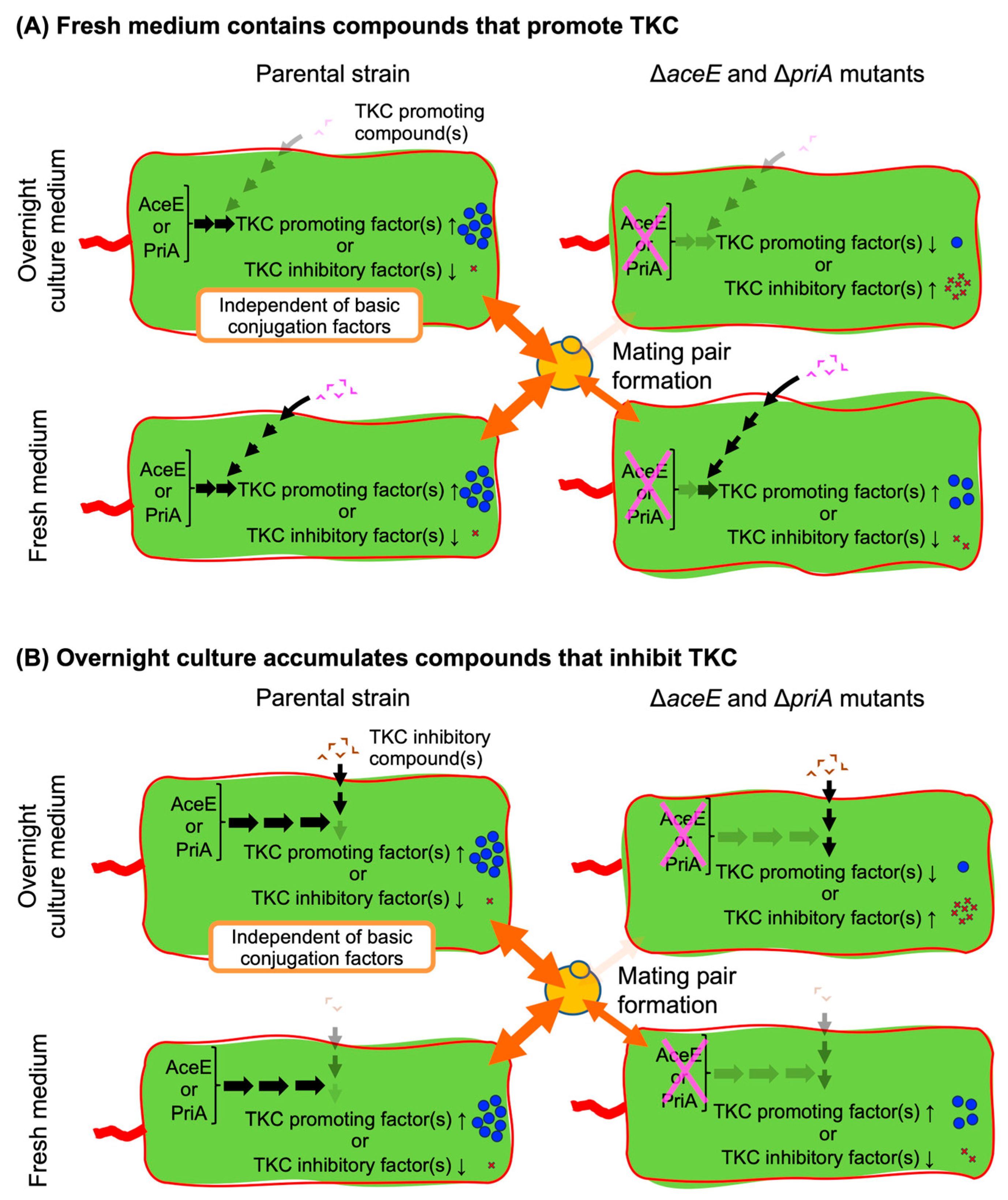 Microorganisms 13 00488 g007 Microorganisms 13 00488 g007