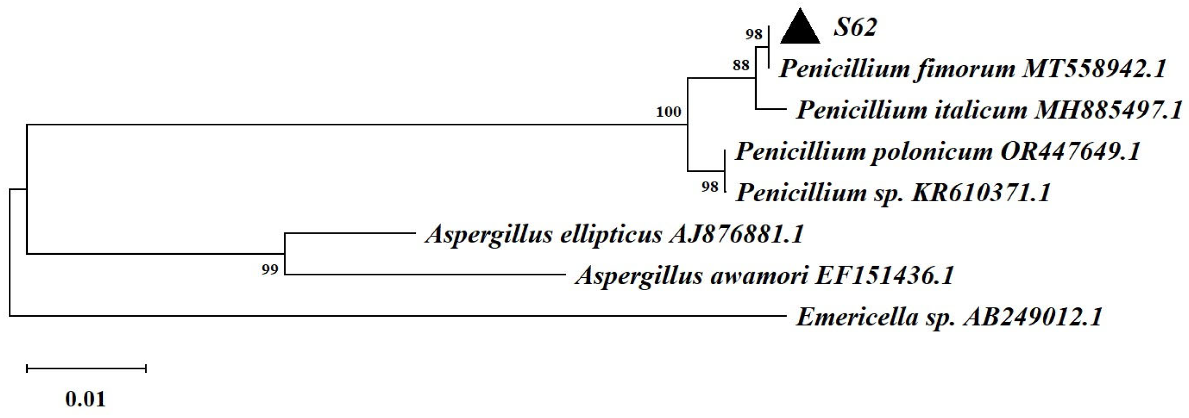 Microorganisms 13 00495 g003 Microorganisms 13 00495 g003