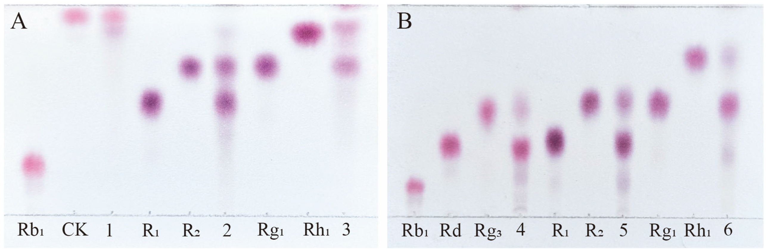 Microorganisms 13 00495 g006 Microorganisms 13 00495 g006